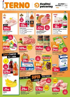 Náhled Terno leták platný od 14.01.2026