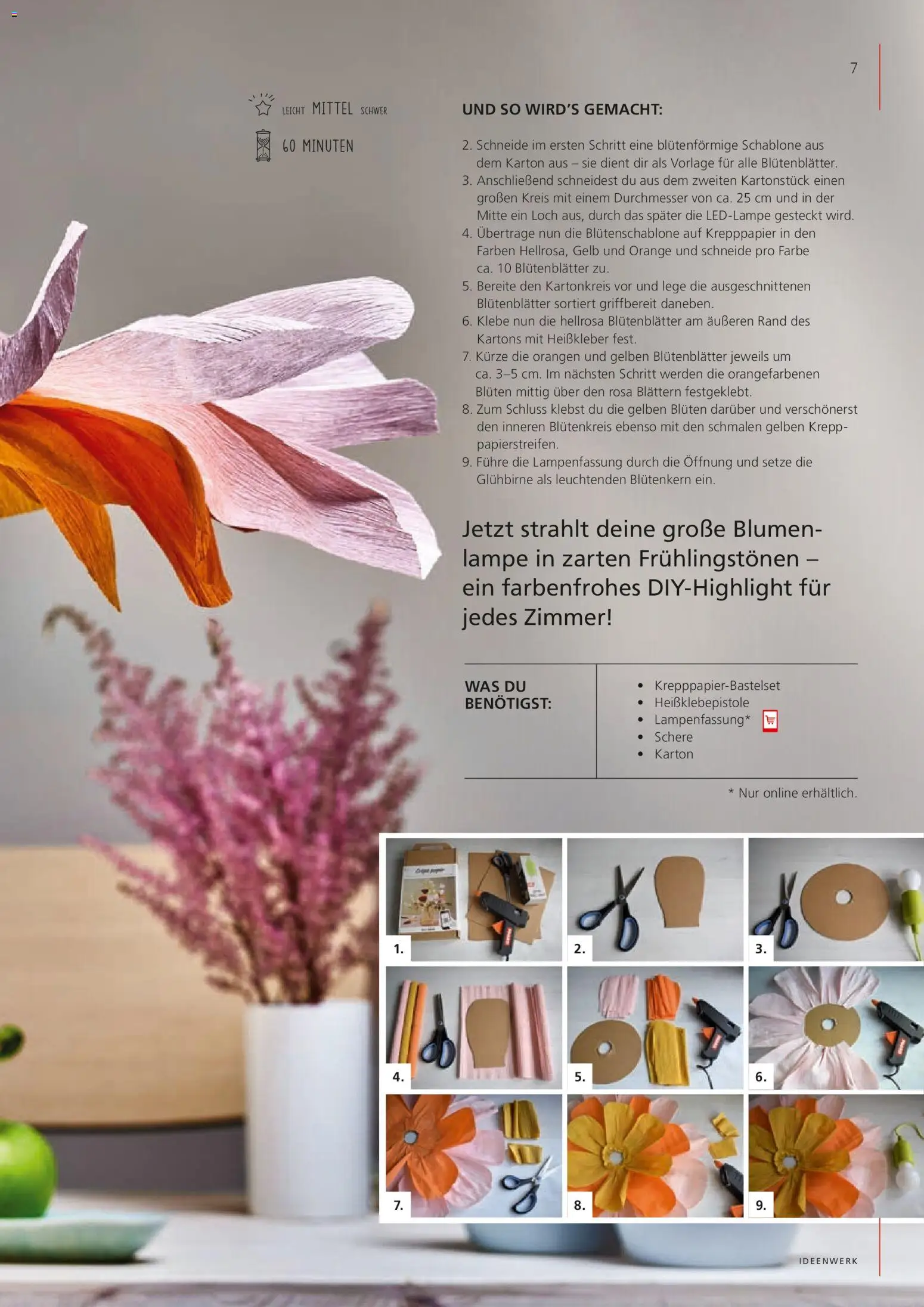 Pagro-Diskont Ideenwerk - page 7- valid from 01.03.2026