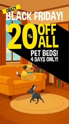 Preview Crazy Store Black Friday valid from 27/11/2025