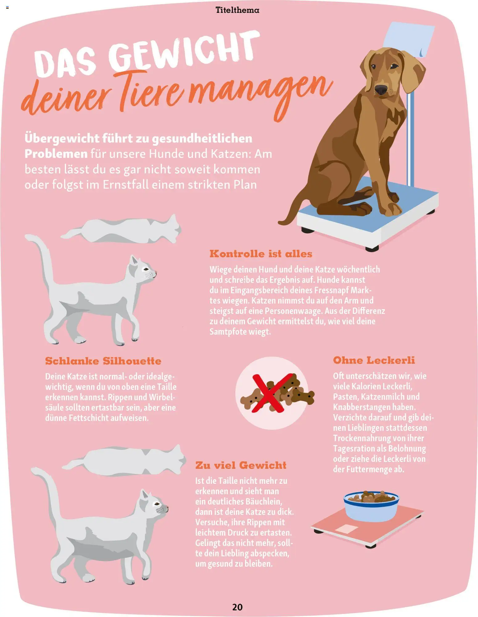 Fressnapf Friends Magazin - Seite 20 - gültig ab 02.03.2026