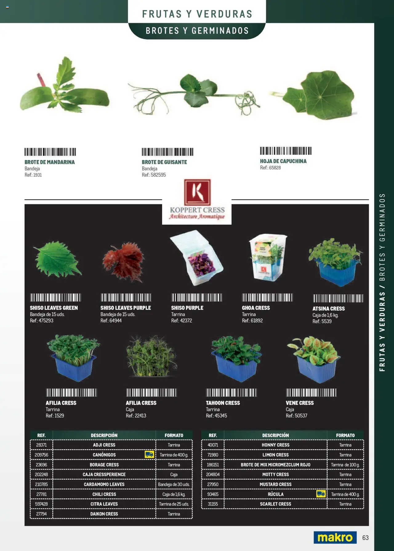 Makro - Especia Carta Canarias - Página de 63 - Válido desde 08/04/2025