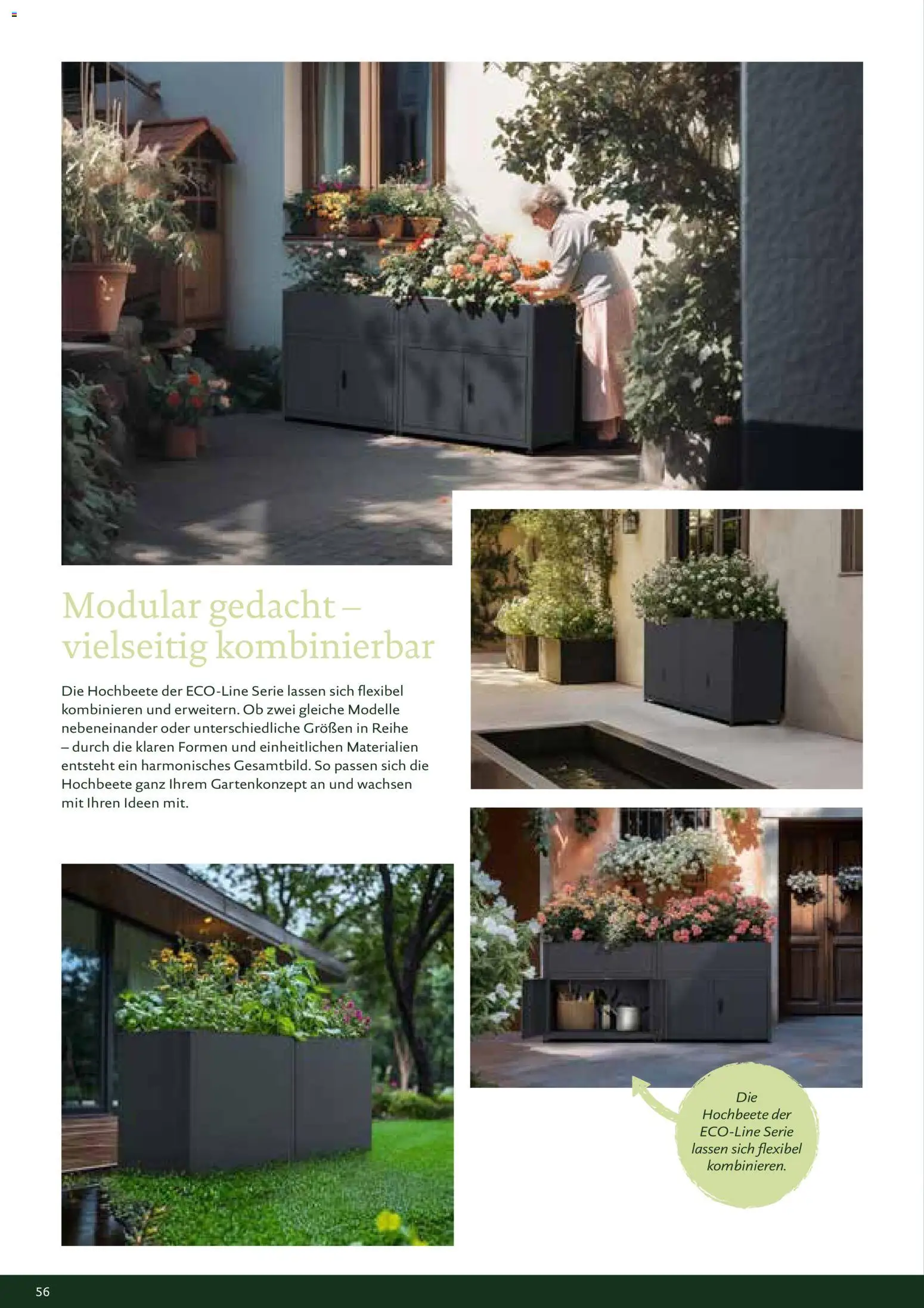 Dehner KGT – Kreative Gartentechnik - Seite 56 - gültig ab 01.01.2026