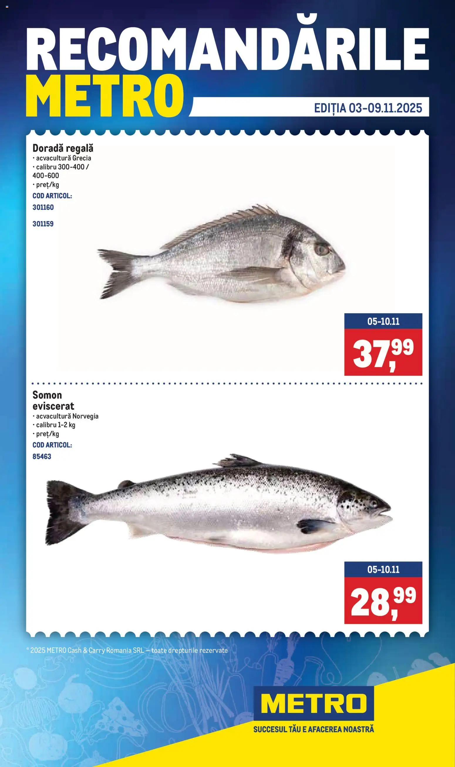 Catalog Metro - pagina 1- valabil de la 03.11.2025
