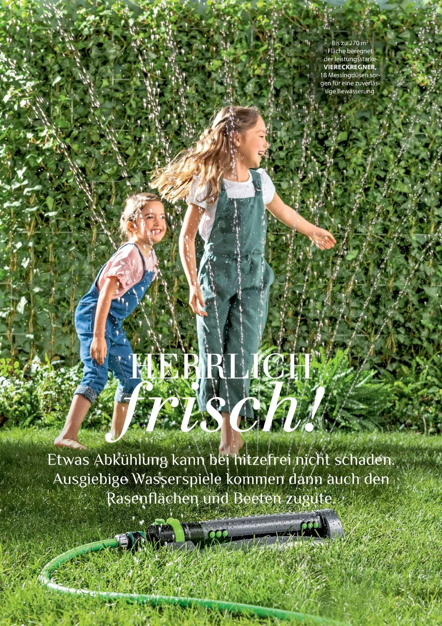 Dehner Prospekt 	 - Seite 62 - gültig ab 17.04.2026