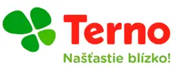 Terno logo