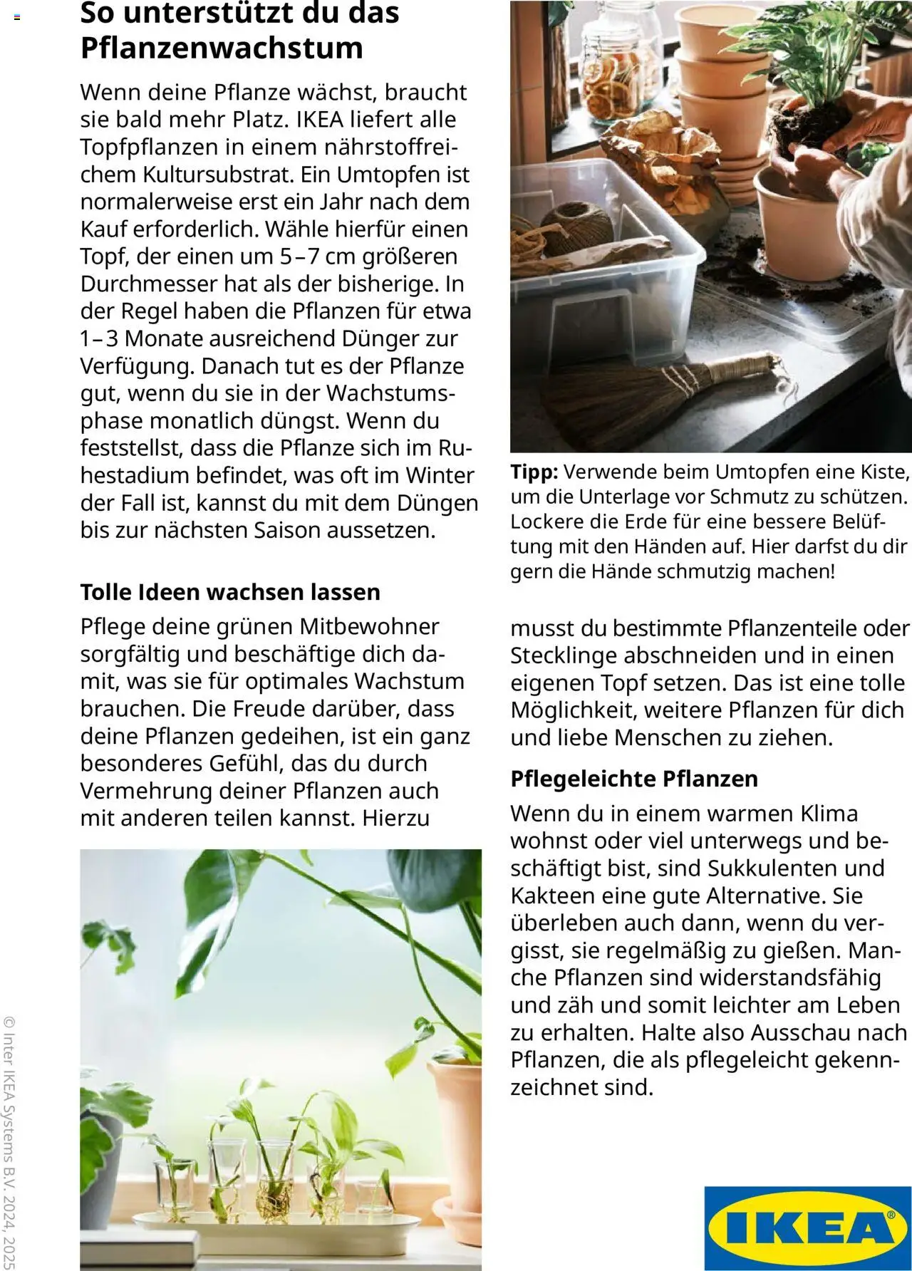 Ikea Pflanzen Broschüre - Seite 8 - gültig ab 30.09.2025