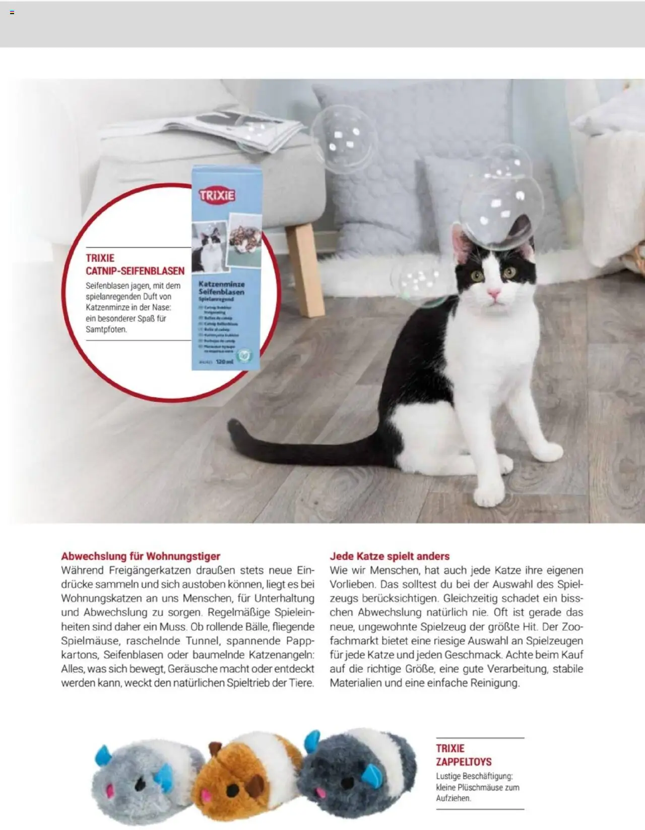 zookauf Themenkatalog Katze - Seite 51 - gültig ab 01.10.2025