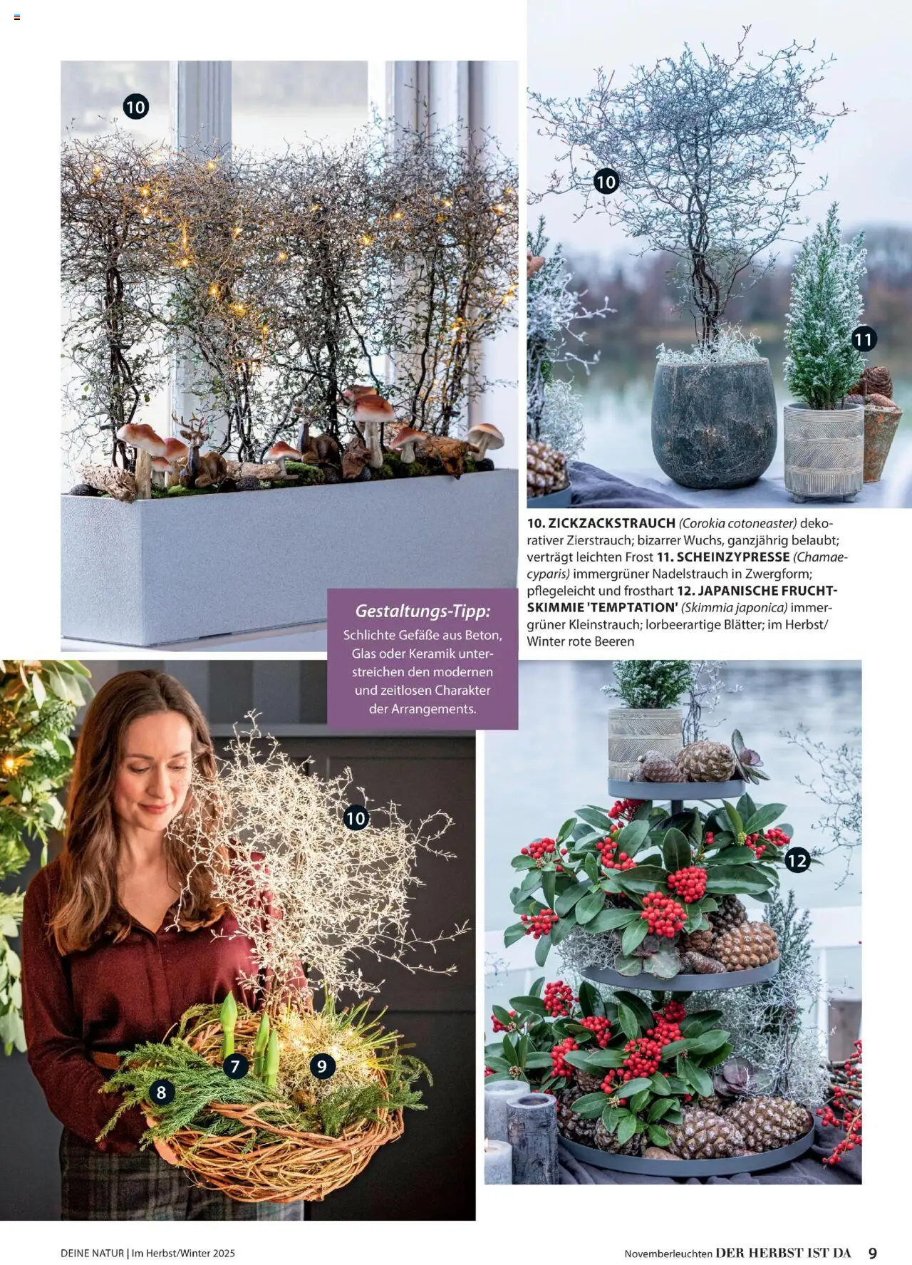 Dehner Prospekt Deine Natur - Seite 9 - gültig ab 09.10.2025