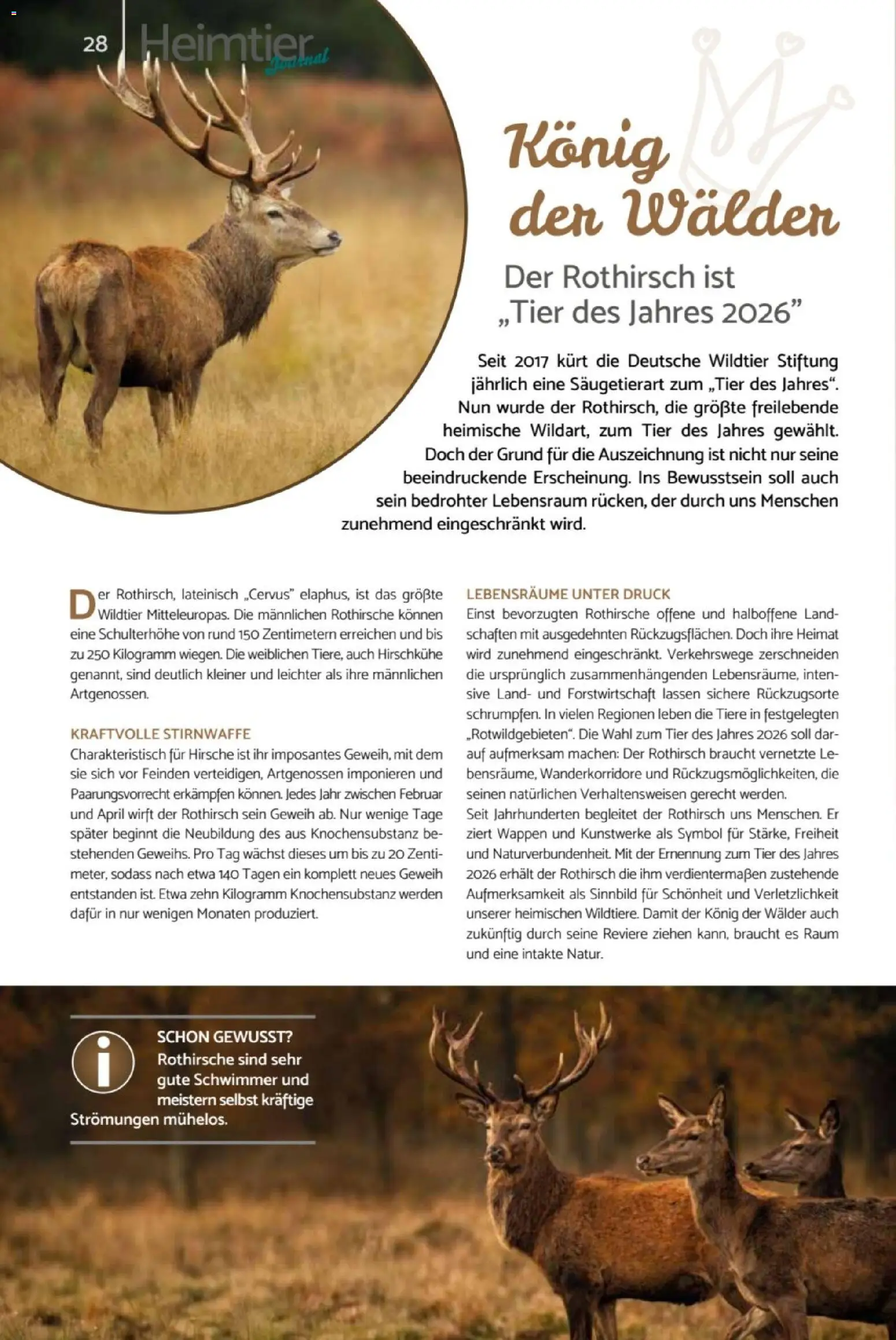 zookauf  Heimtier Journal - Seite 28 - gültig ab 01.02.2026