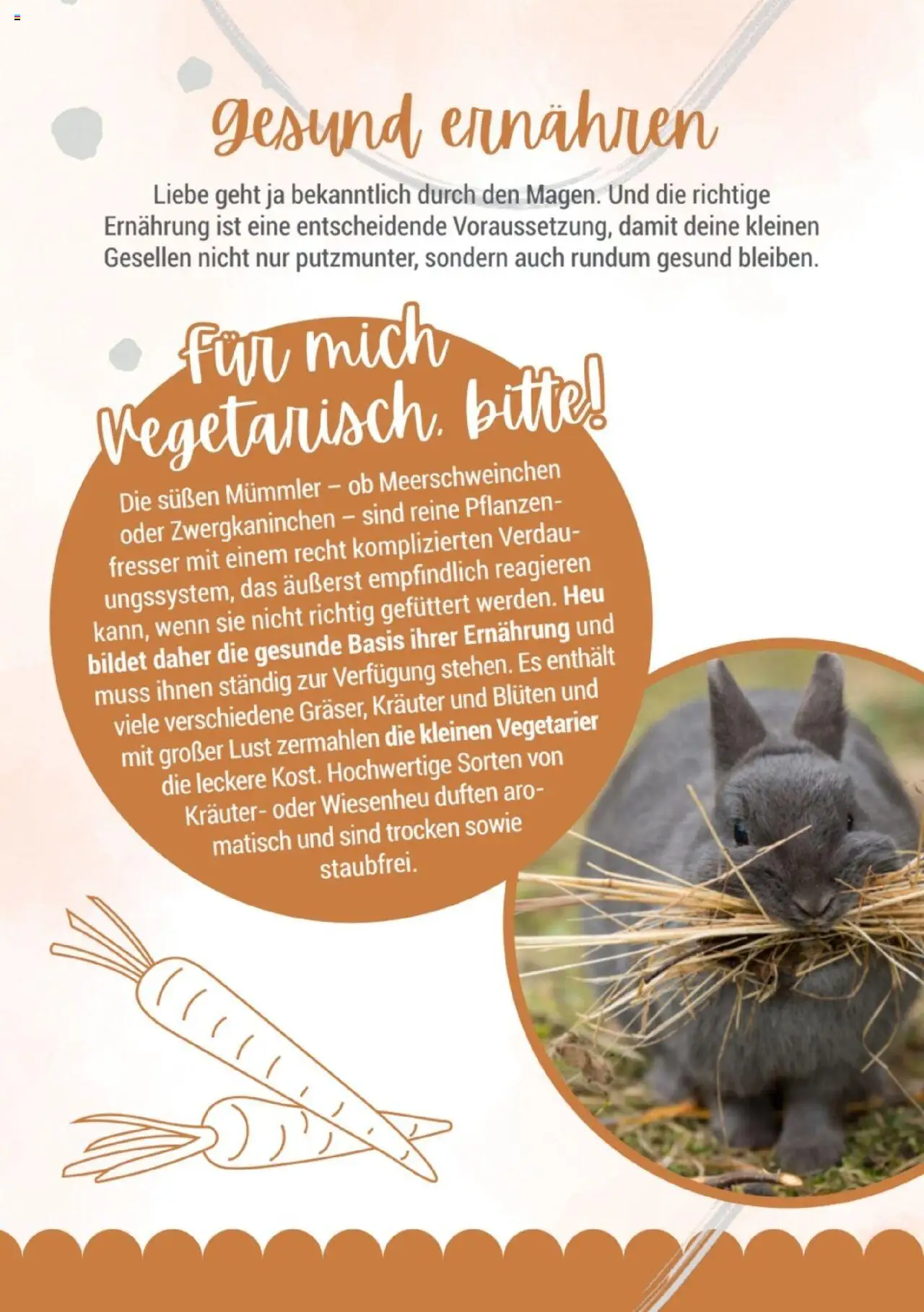 zookauf Kleintier Fibel - Seite 8 - gültig ab 05.06.2025