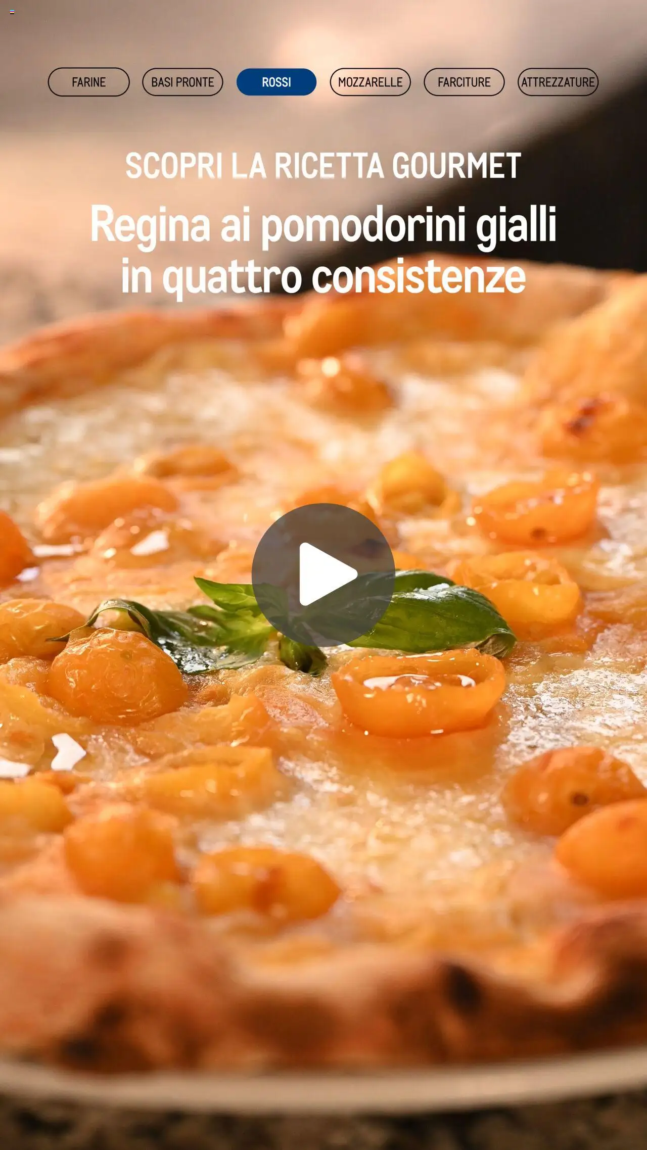 Catalogo Pizzeria 2025 Metro	 - pagina 13 - valido dal 23/01/2025
