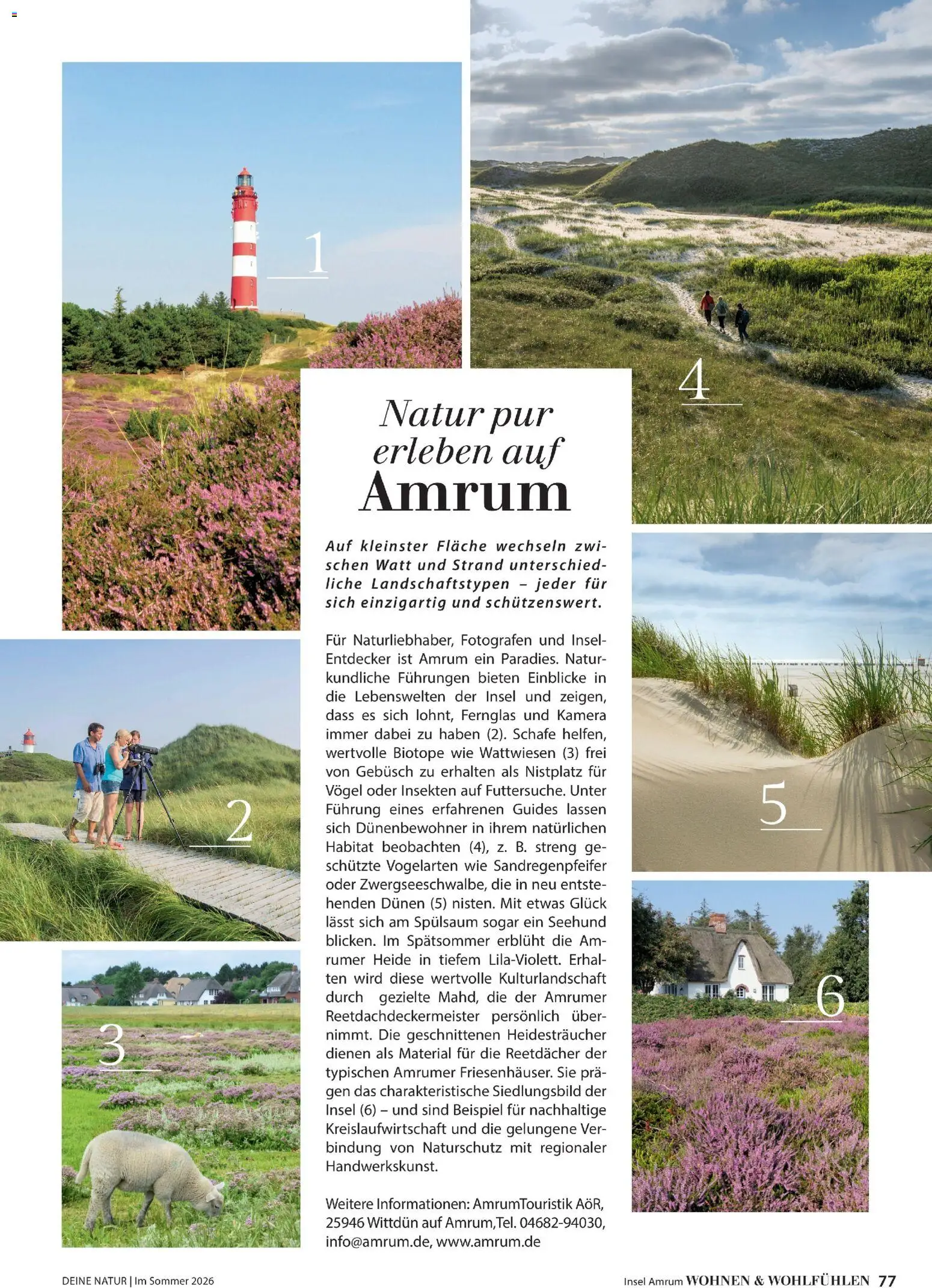 Dehner Prospekt 	 - Seite 77 - gültig ab 17.04.2026