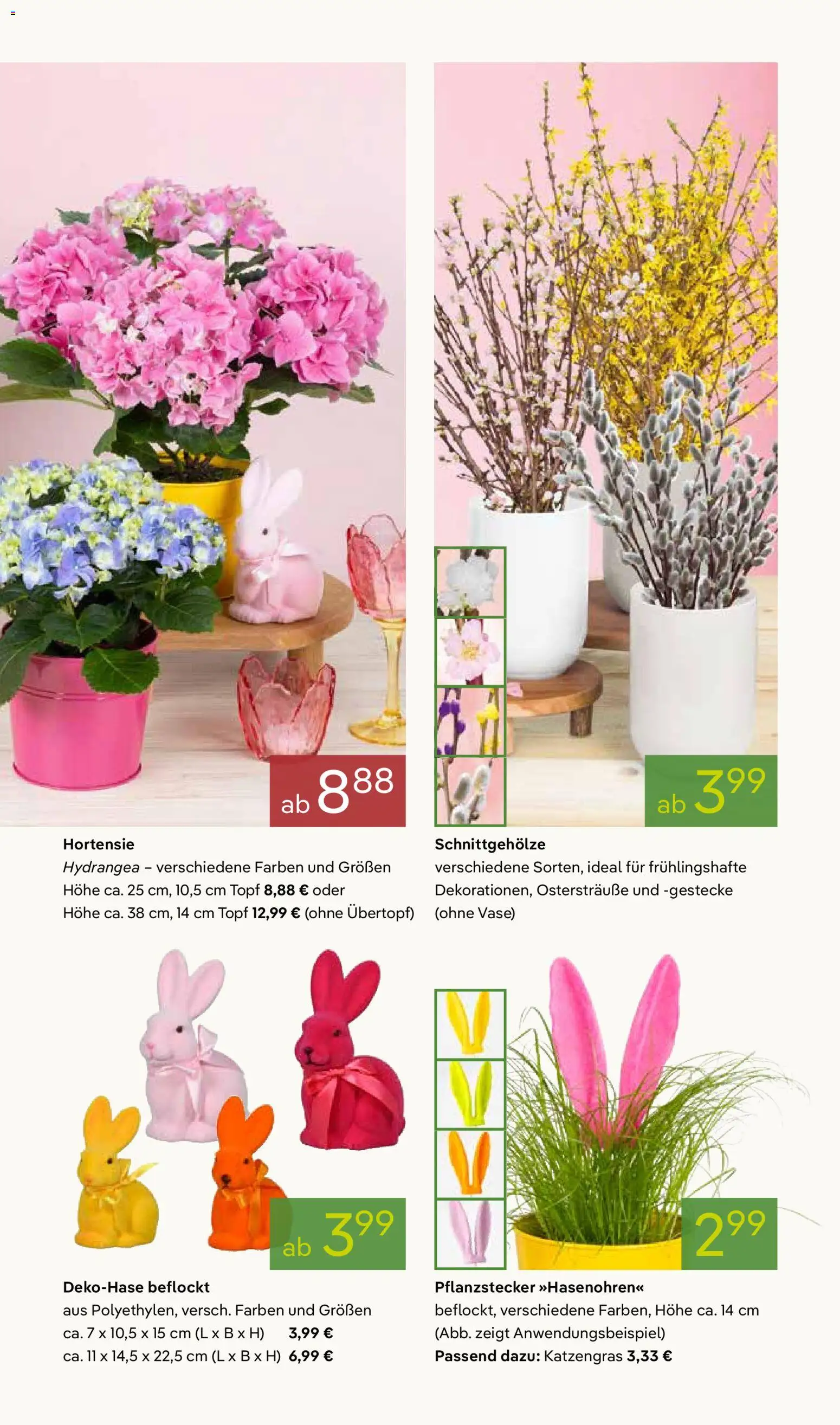 Pflanzen-Kölle Prospekt 	 - Seite 3 - gültig ab 02.03.2026
