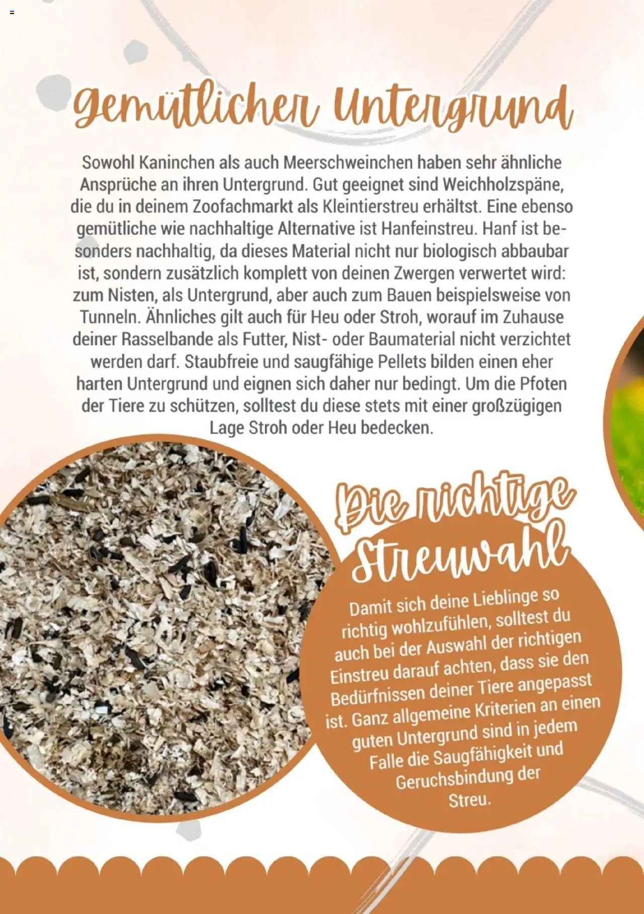 zookauf Kleintier Fibel - Seite 12 - gültig ab 05.06.2025