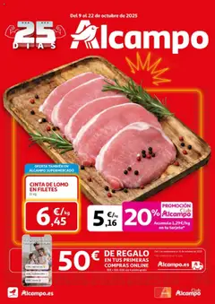 Vista previa del folleto Alcampo - HG Madrid Unificado válido desde 09/10/2025