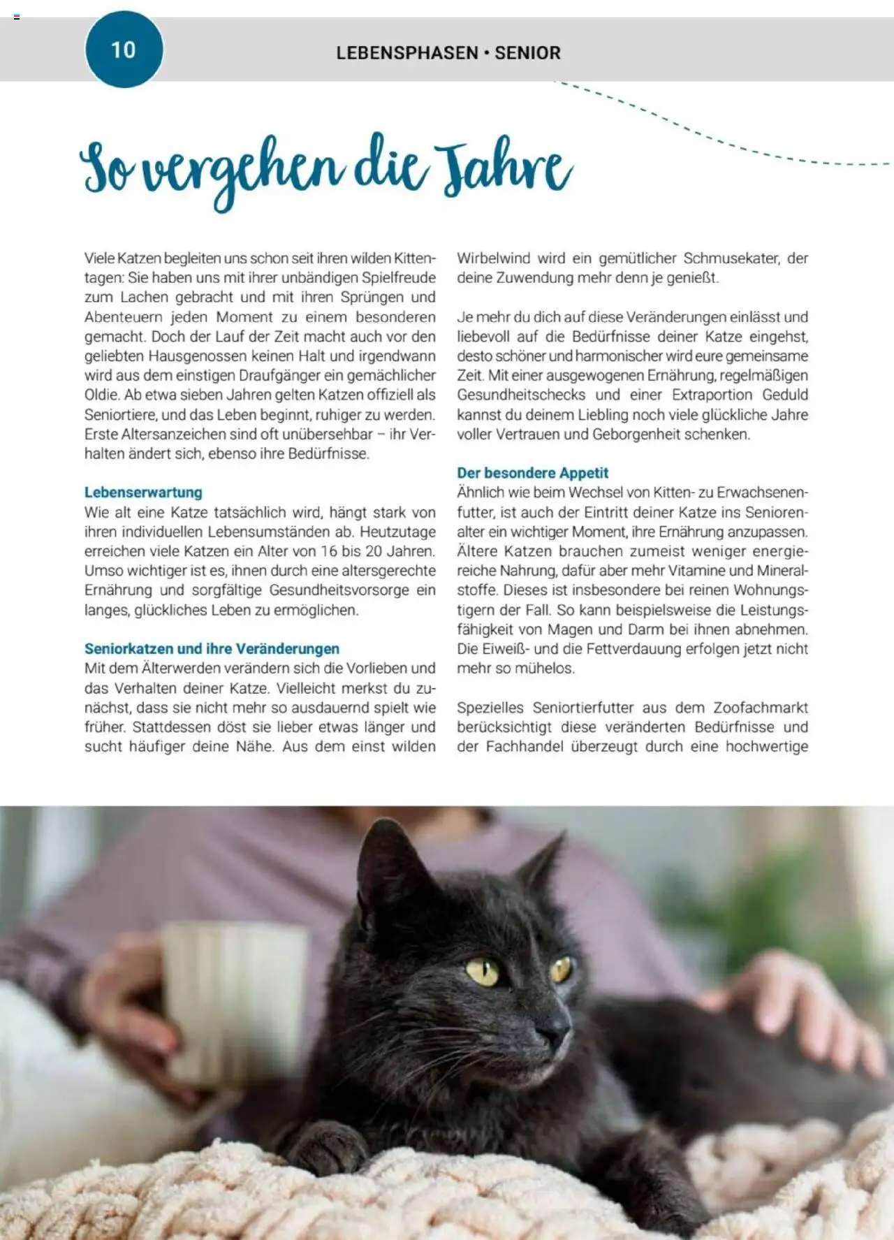 zookauf Themenkatalog Katze - Seite 10 - gültig ab 01.10.2025
