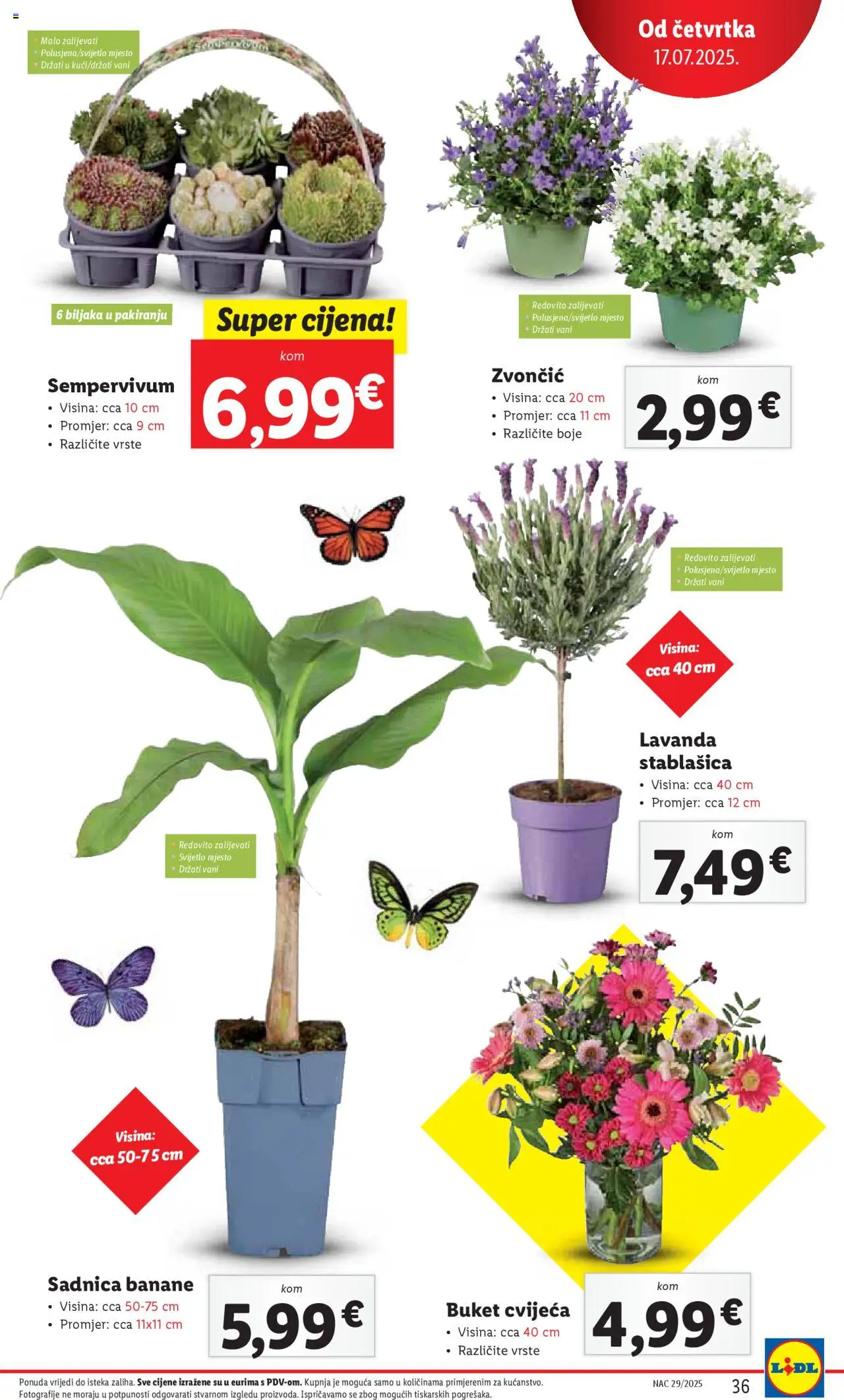 Katalog Lidl - stranica 36- važeći od 17.07.2025