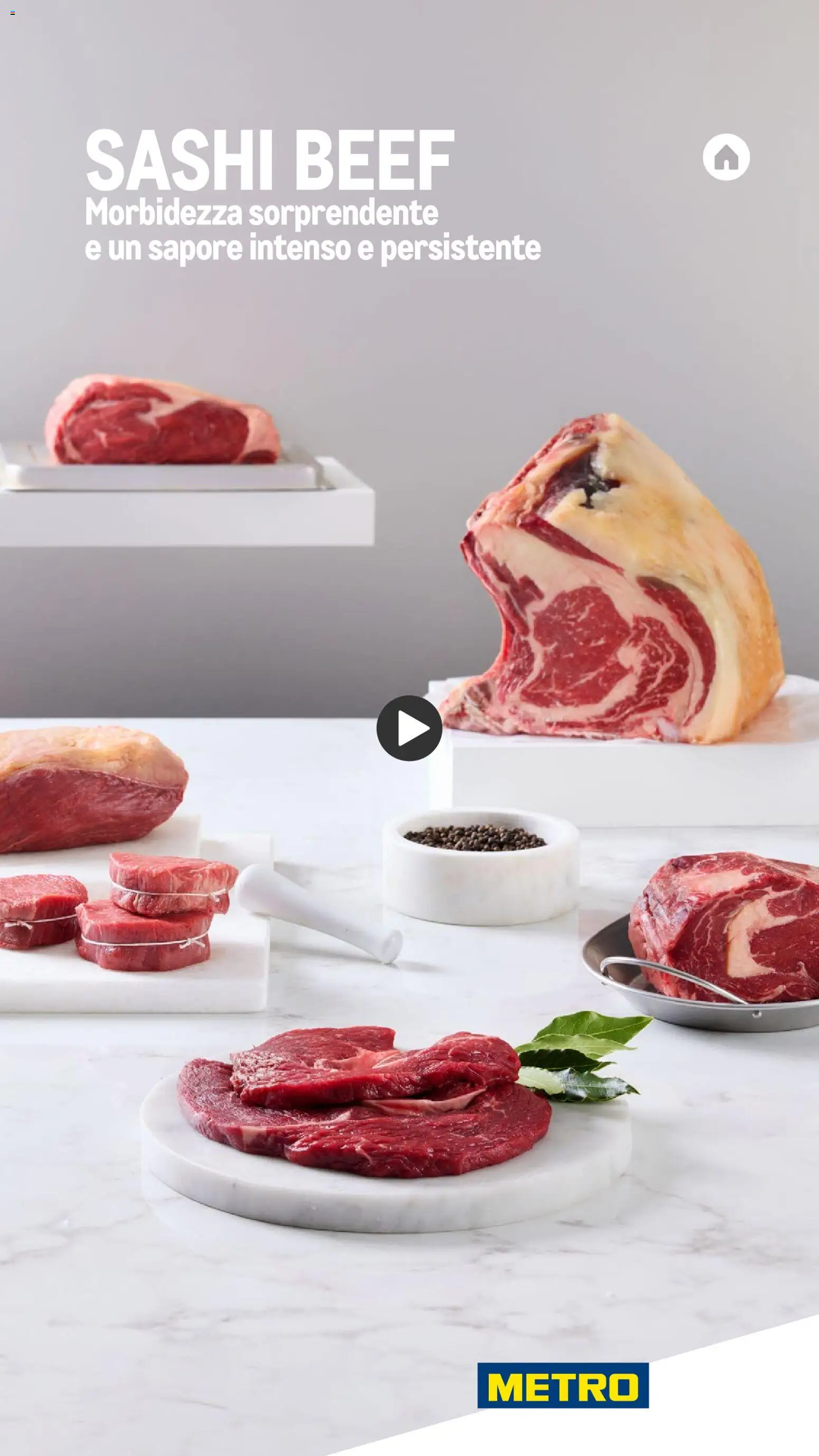 Metro Carne catalogo - pagina 17 - valido dal 26/11/2025