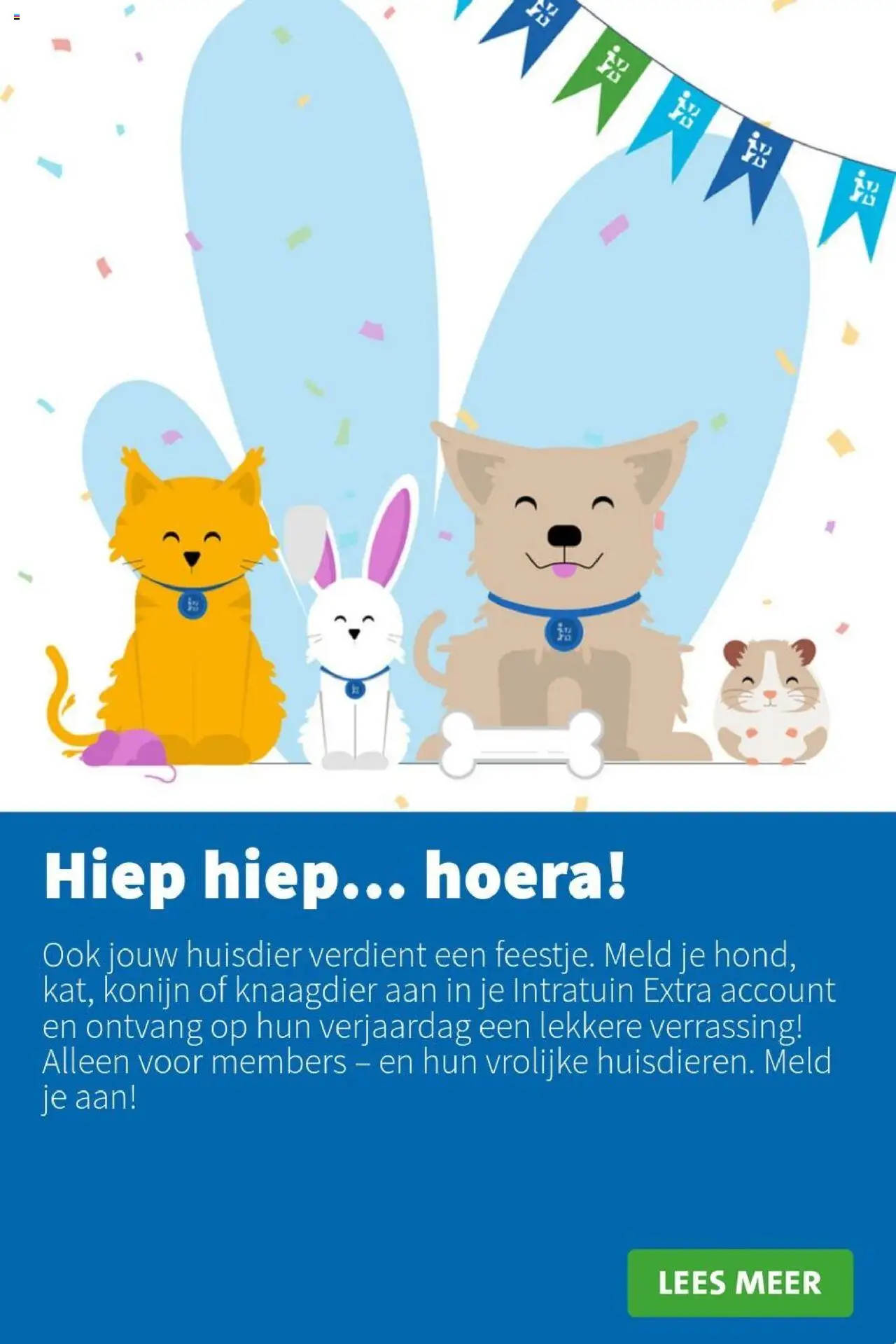 Intratuin - Folder - pagina 11- geldig vanaf 14-07-2025