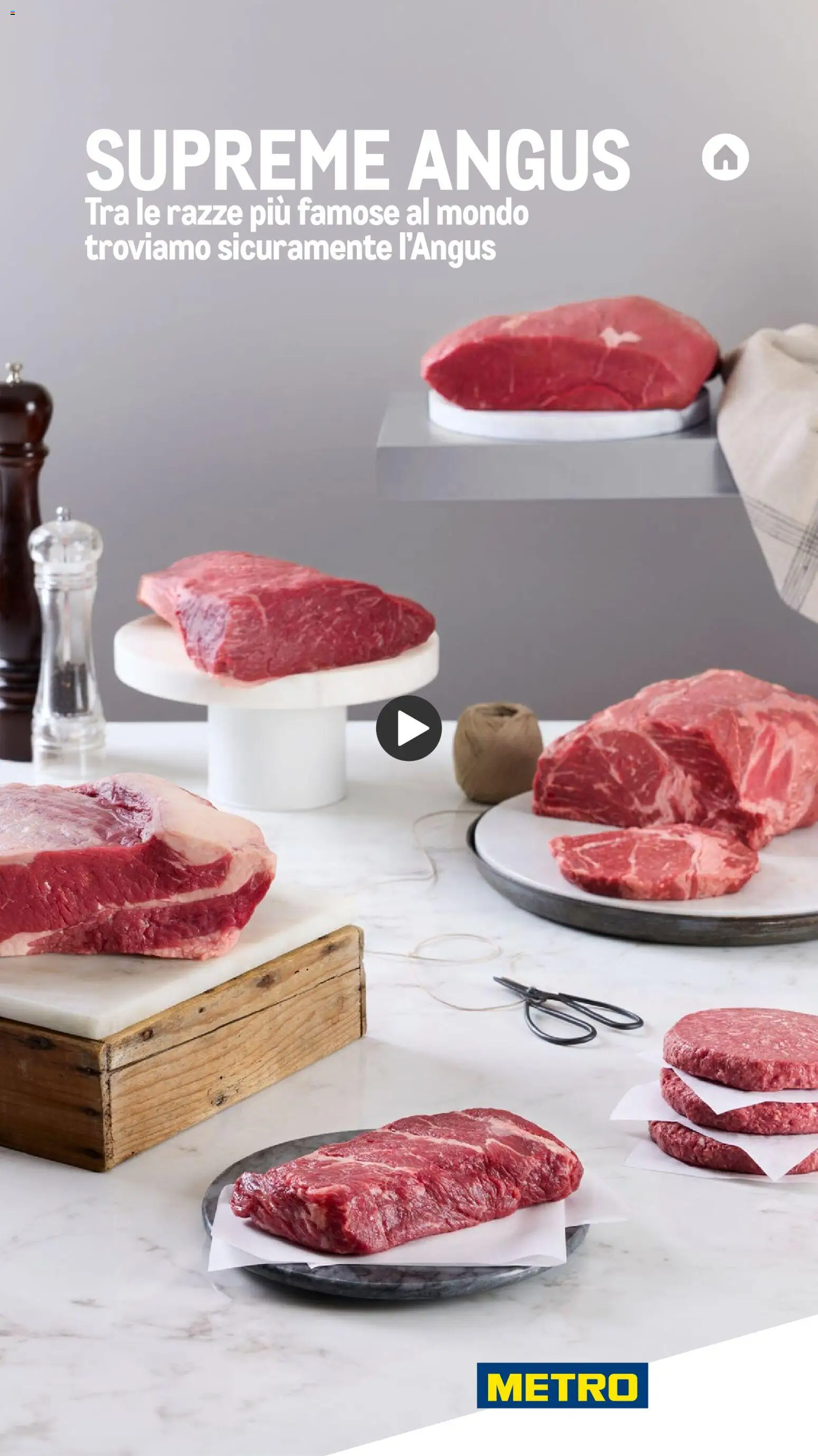 Metro Carne catalogo - pagina 15 - valido dal 26/11/2025