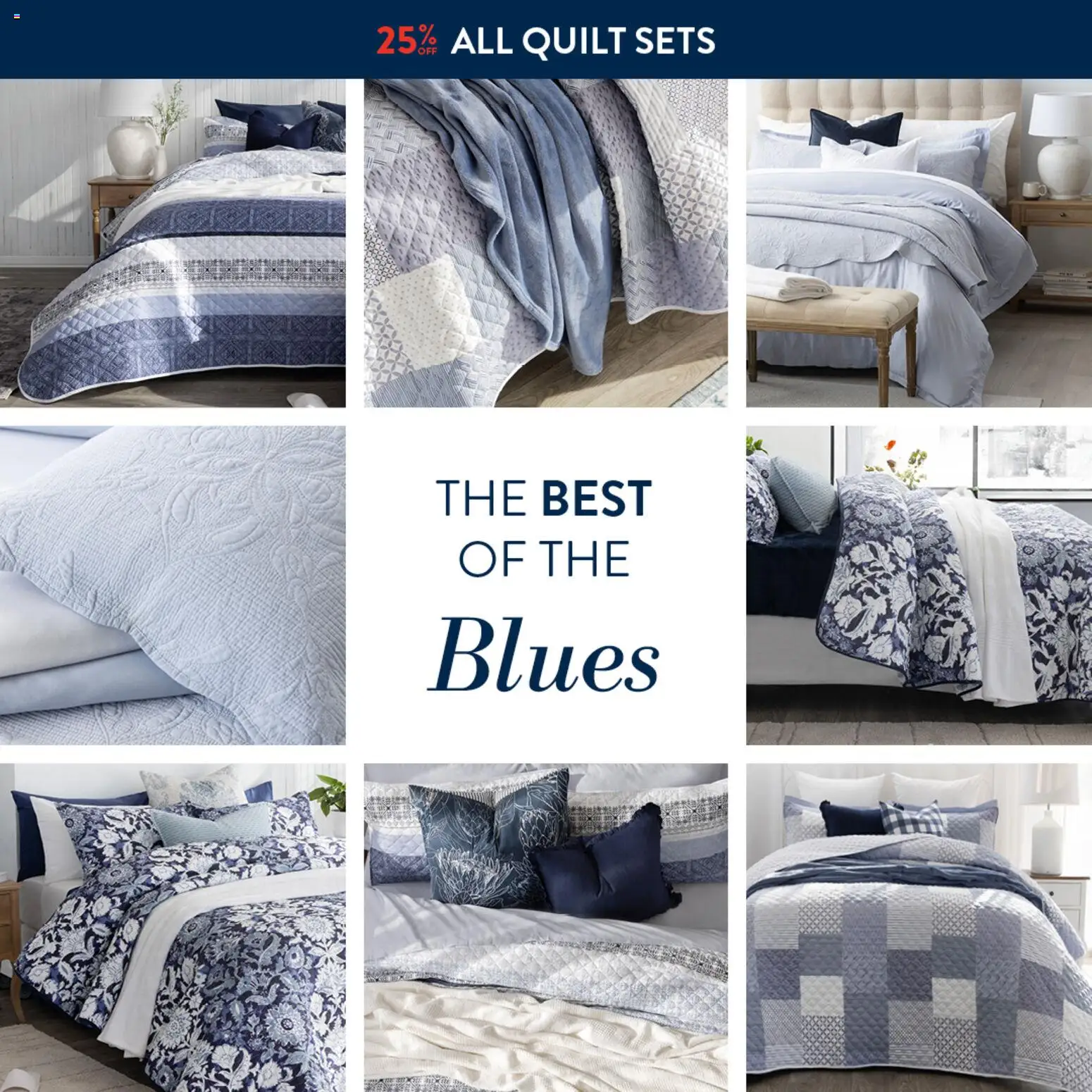 Volpes The Best of The Blues  - page 1- valid from 28/01/2026