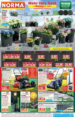 Vorschau Norma Prospekt 	 gültig ab 13.04.2026