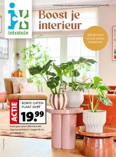 Intratuin - Folder geldig vanaf 16-02-2026