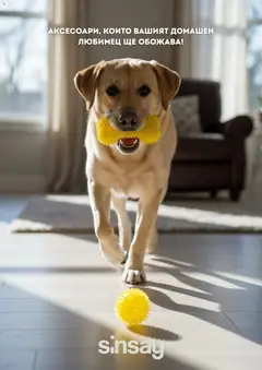 Sinsay брошура валиден от 17.04.2026