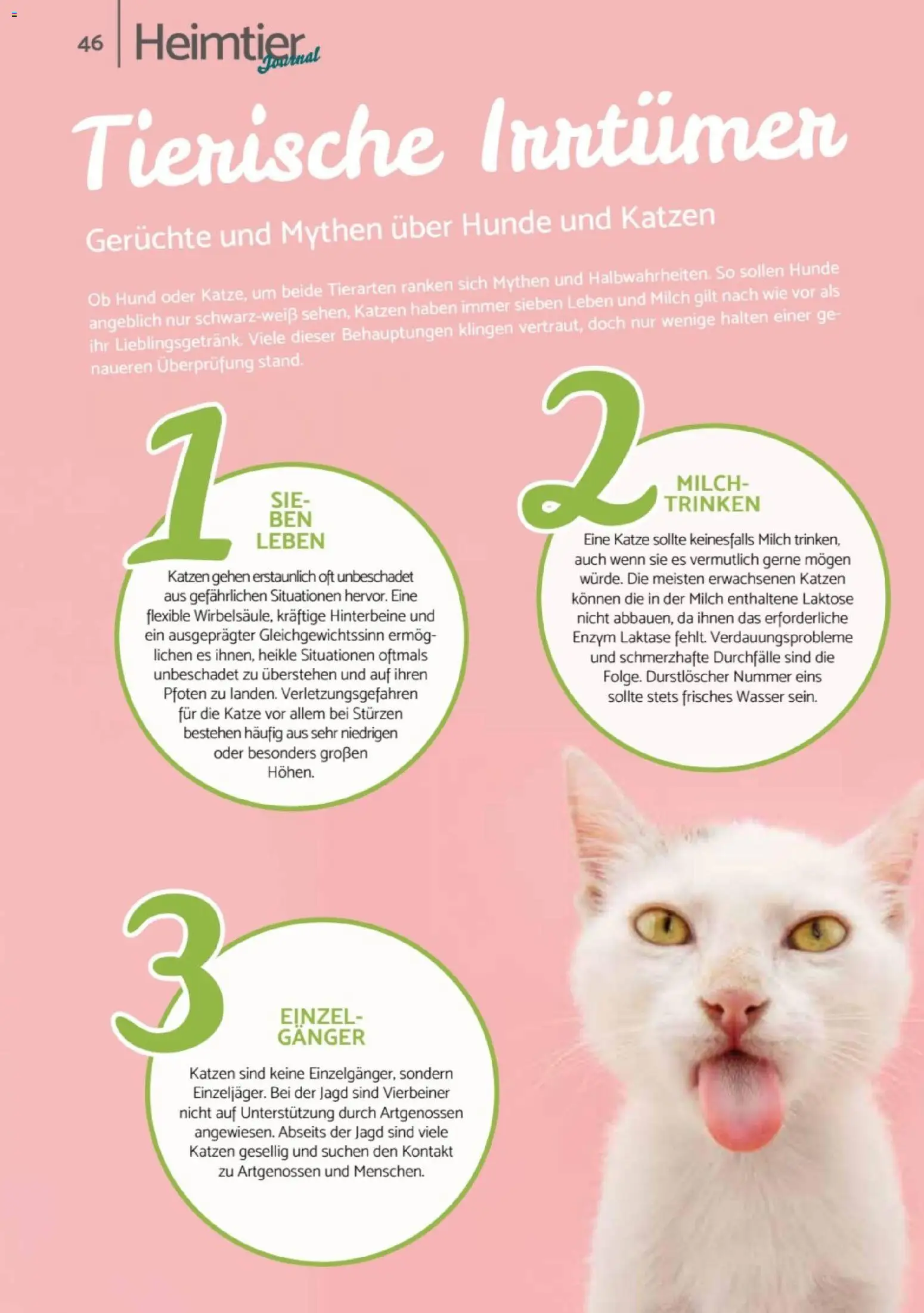 zookauf - Heimtier Journal - Seite 46 - gültig ab 01.12.2025