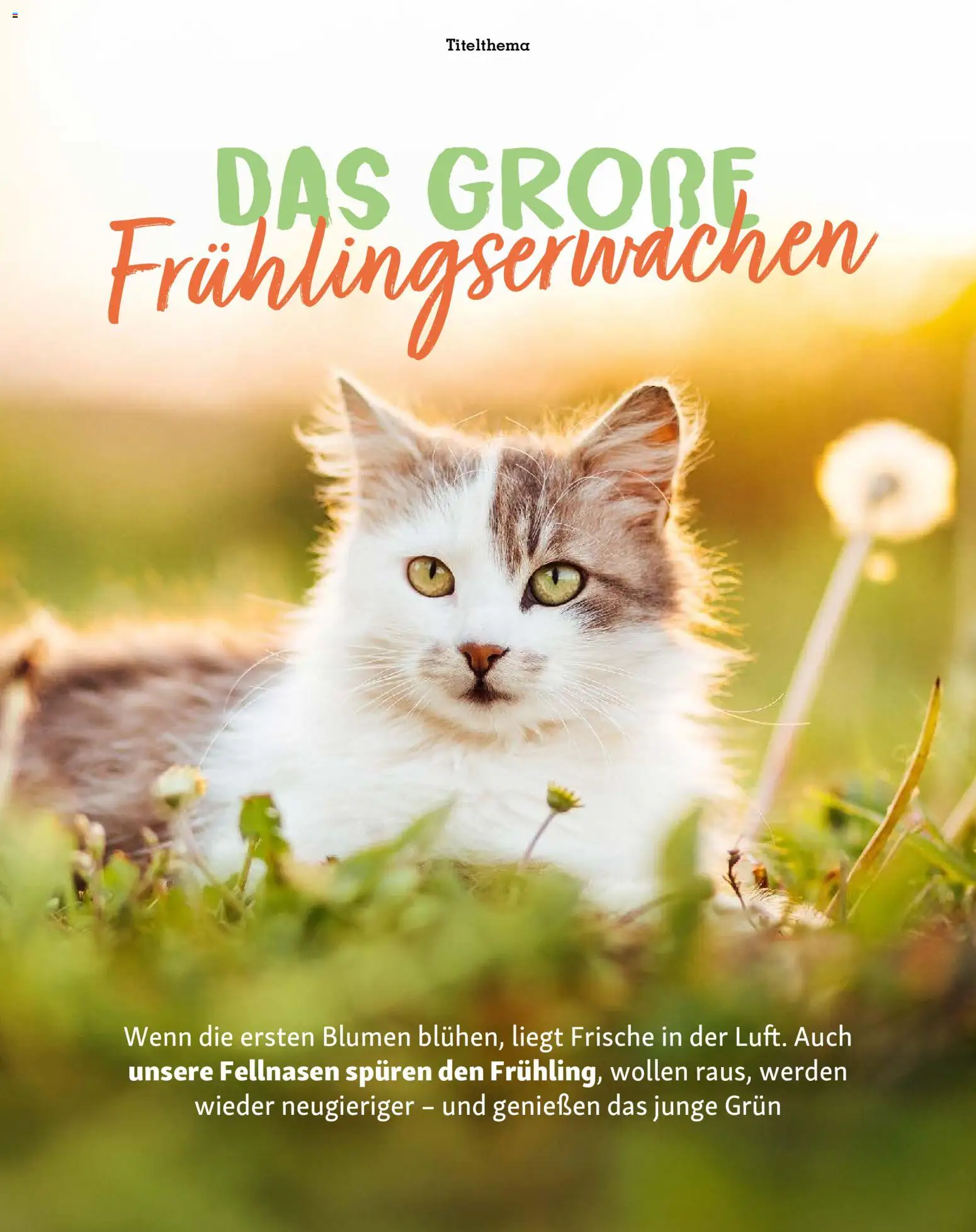 Fressnapf Friends Magazin - Seite 11 - gültig ab 02.03.2026