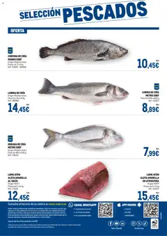 Vista previa del folleto Makro - Fresco Levante válido desde 16/09/2025