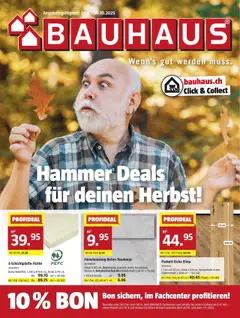 Vorschau Bauhaus Aktionen gültig ab 29.09.2025