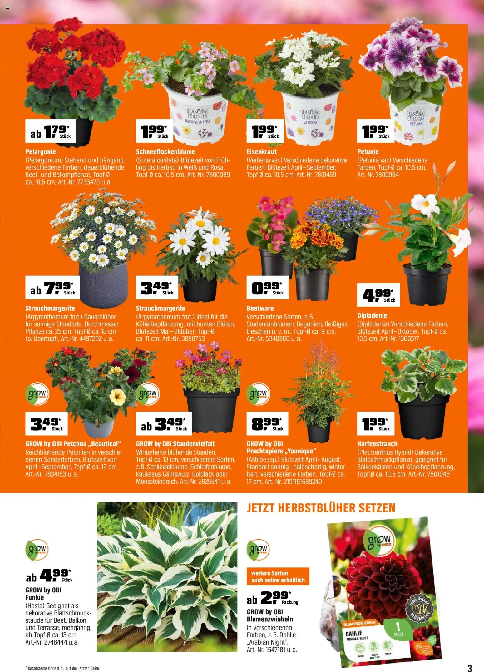 Obi Prospekt 	 - Seite 3 - gültig ab 01.04.2026