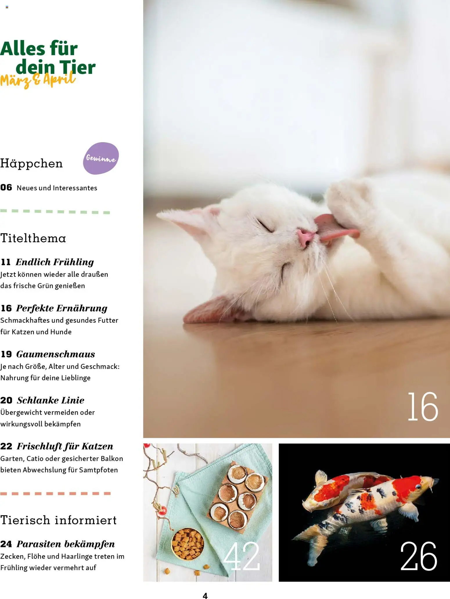 Fressnapf Friends Magazin - Seite 4 - gültig ab 02.03.2026