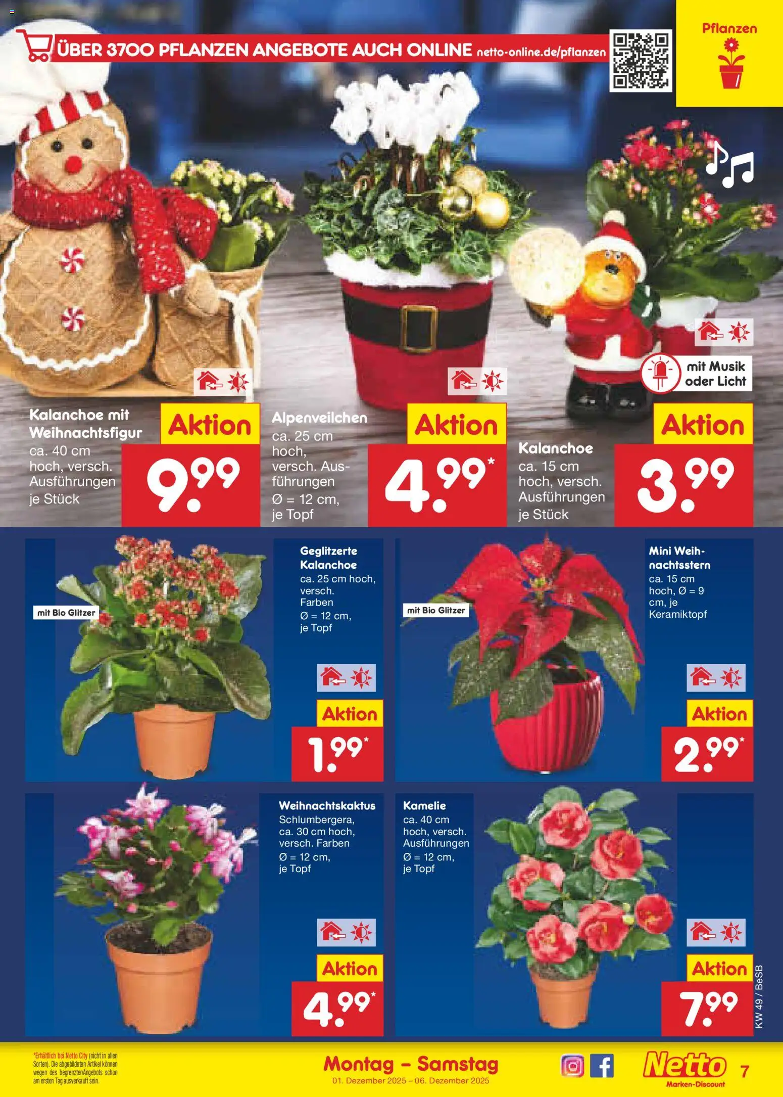 Netto Marken-Discount Prospekt 	 - Seite 7 - gültig ab 01.12.2025
