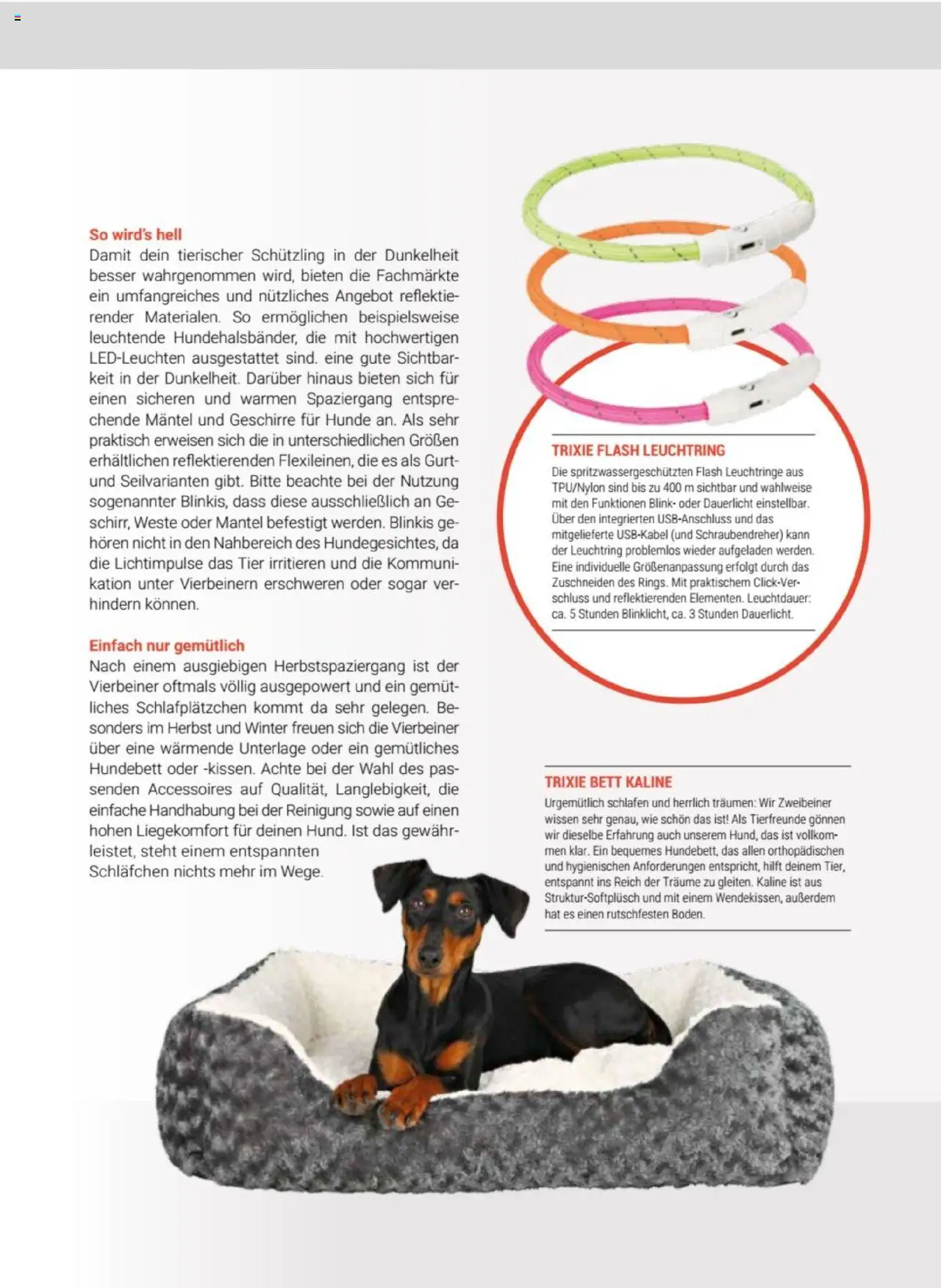 zookauf  Themenkatalog Hund - Seite 41 - gültig ab 20.05.2025