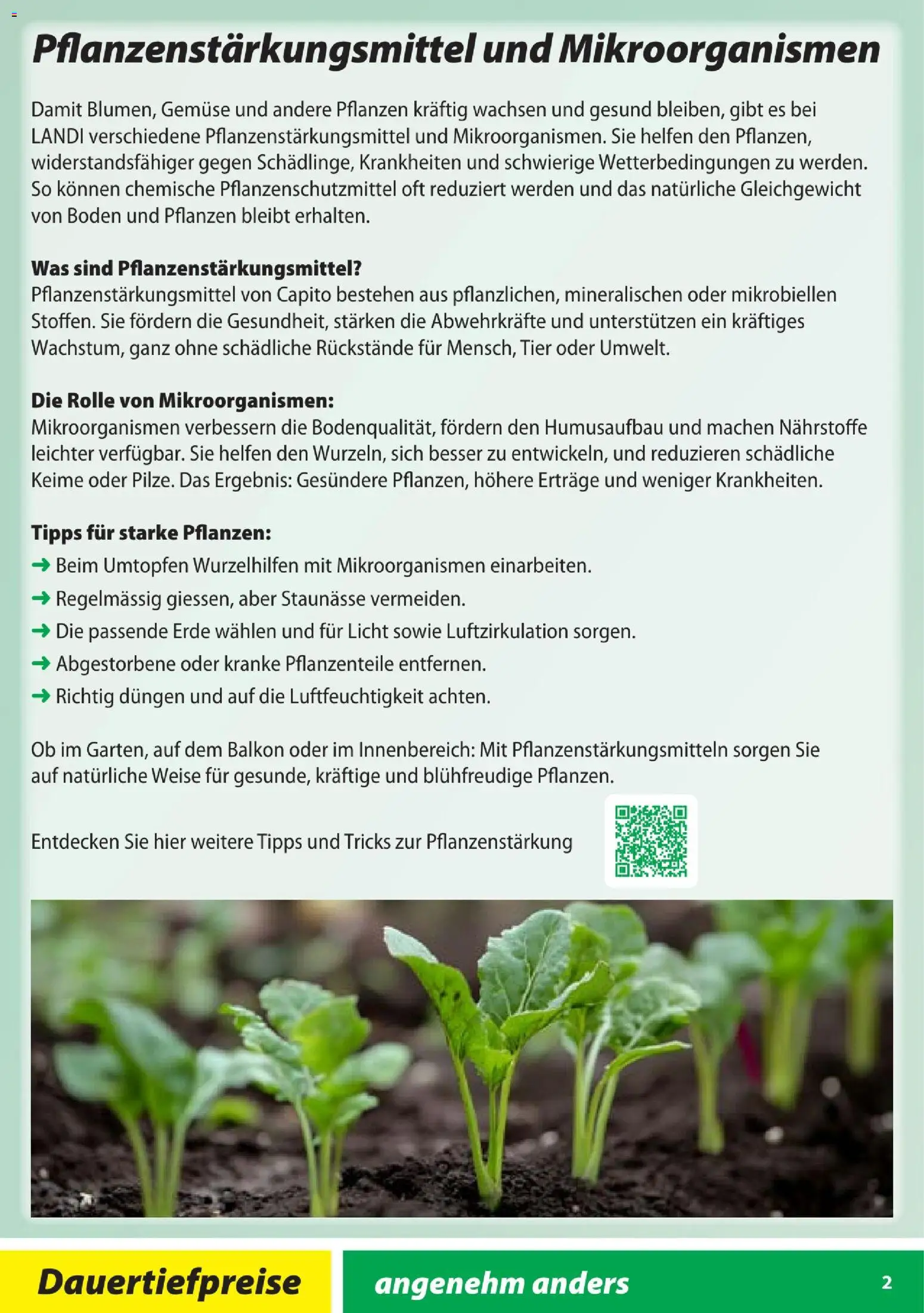 Landi Aktionen Capito - page 2- valid from 28.01.2026