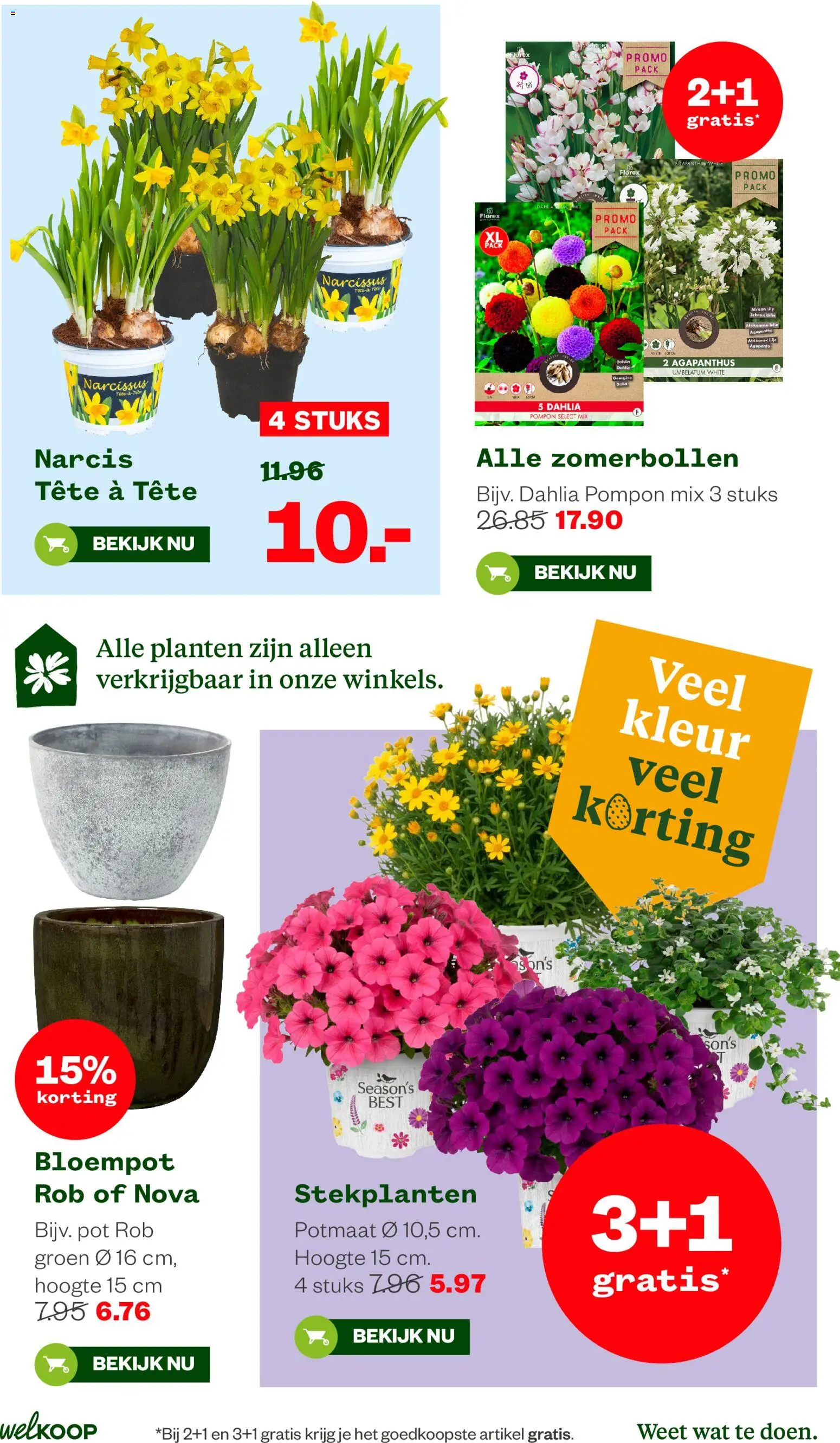 Welkoop folder - page 3- valid from 30-03-2026