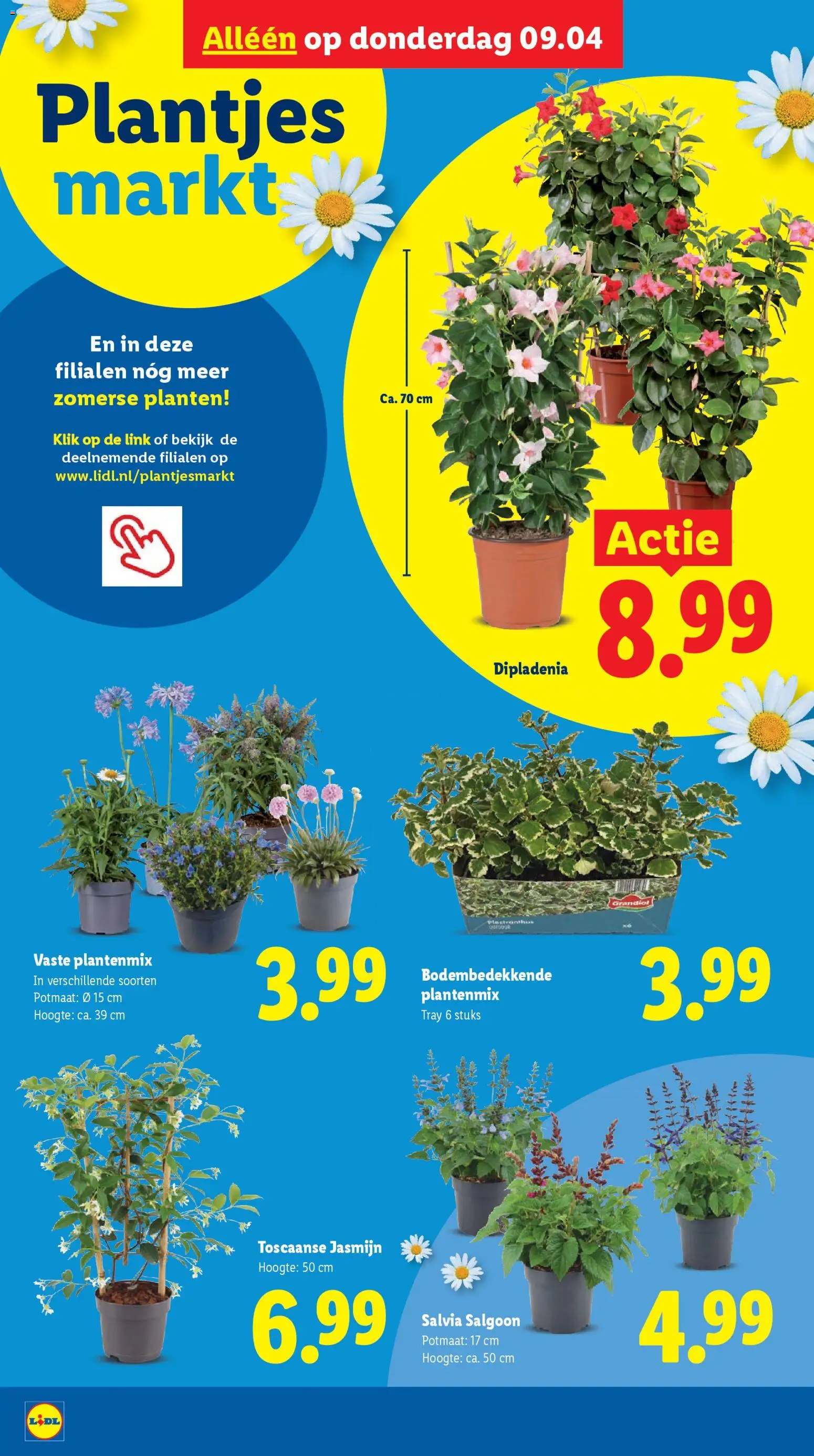 Lidl folder week 15 - page 37- valid from 07-04-2026