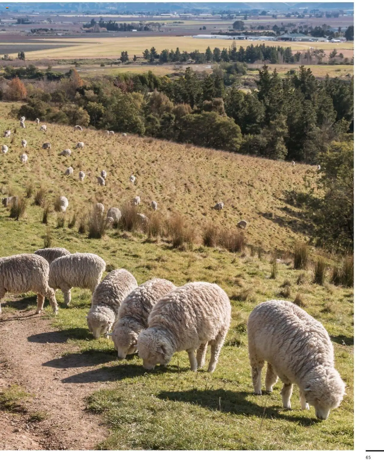 Sport2000 Prospekt Dein Outdoor Magazin  - Seite 65 - gültig ab 01.10.2025