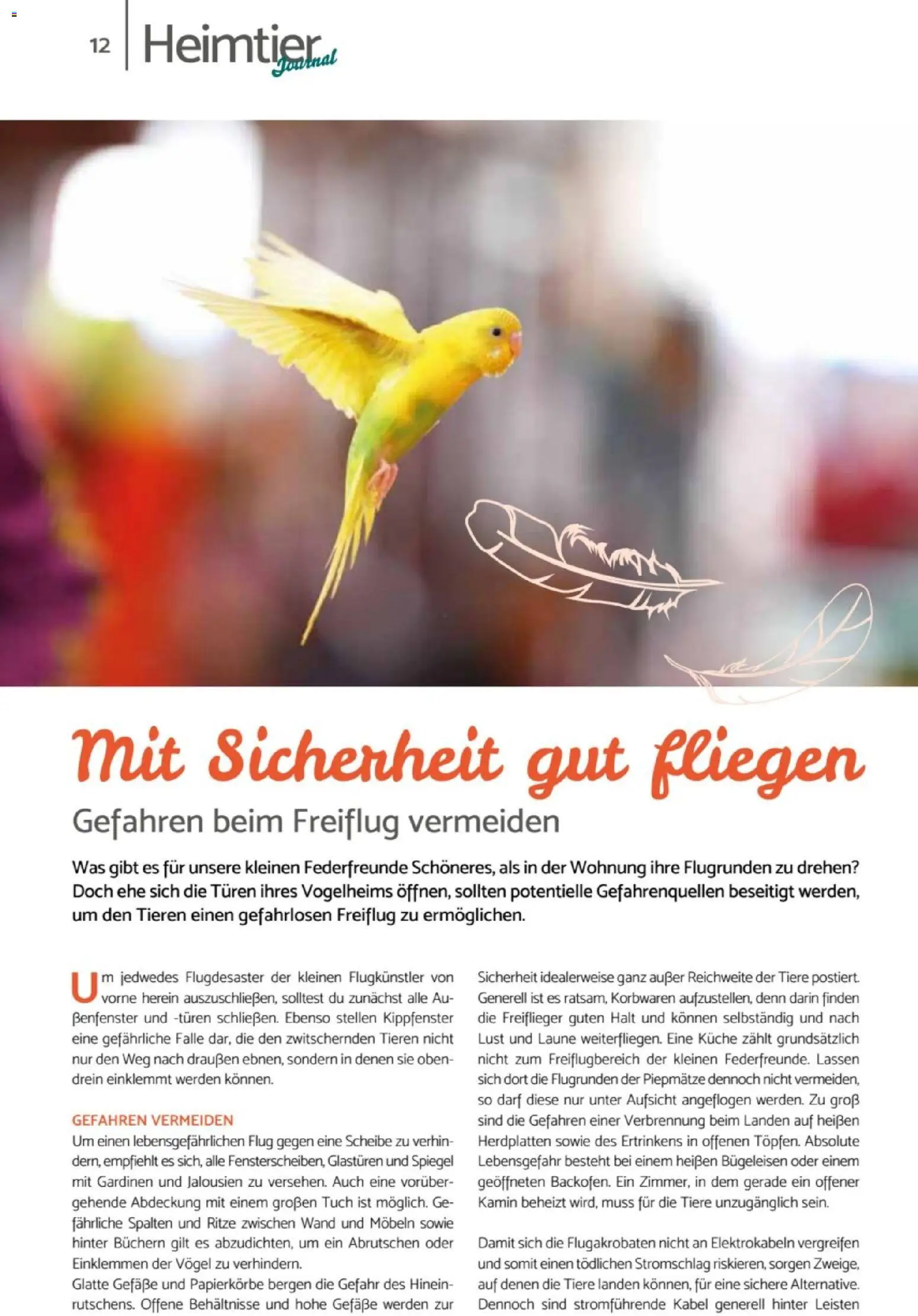 zookauf  Heimtier Journal - Seite 12 - gültig ab 01.02.2026