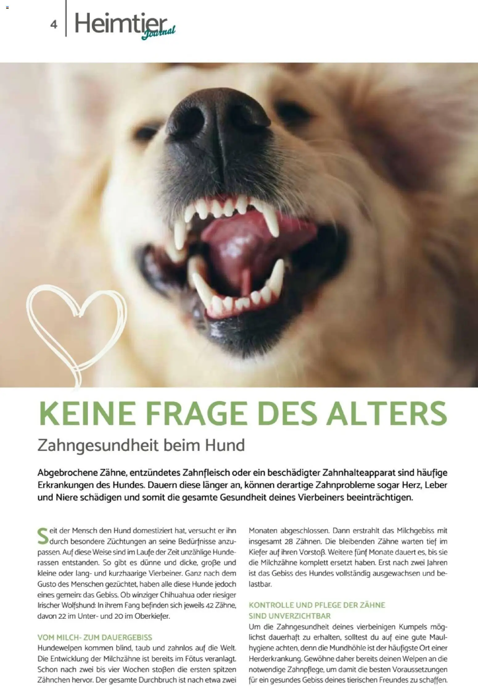 zookauf  Heimtier Journal - Seite 4 - gültig ab 01.02.2026