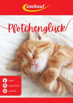 Vorschau zookauf  Kitten Fibel gültig ab 05.06.2025