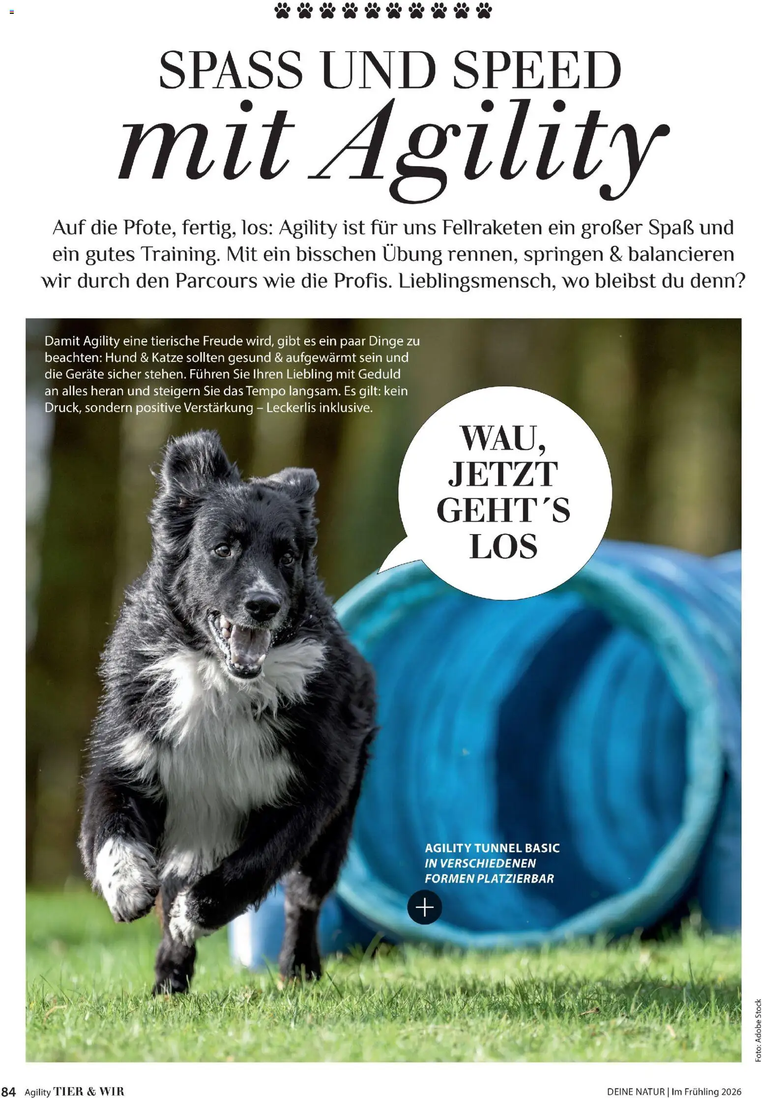 Dehner Prospekt 	 - Seite 84 - gültig ab 17.04.2026