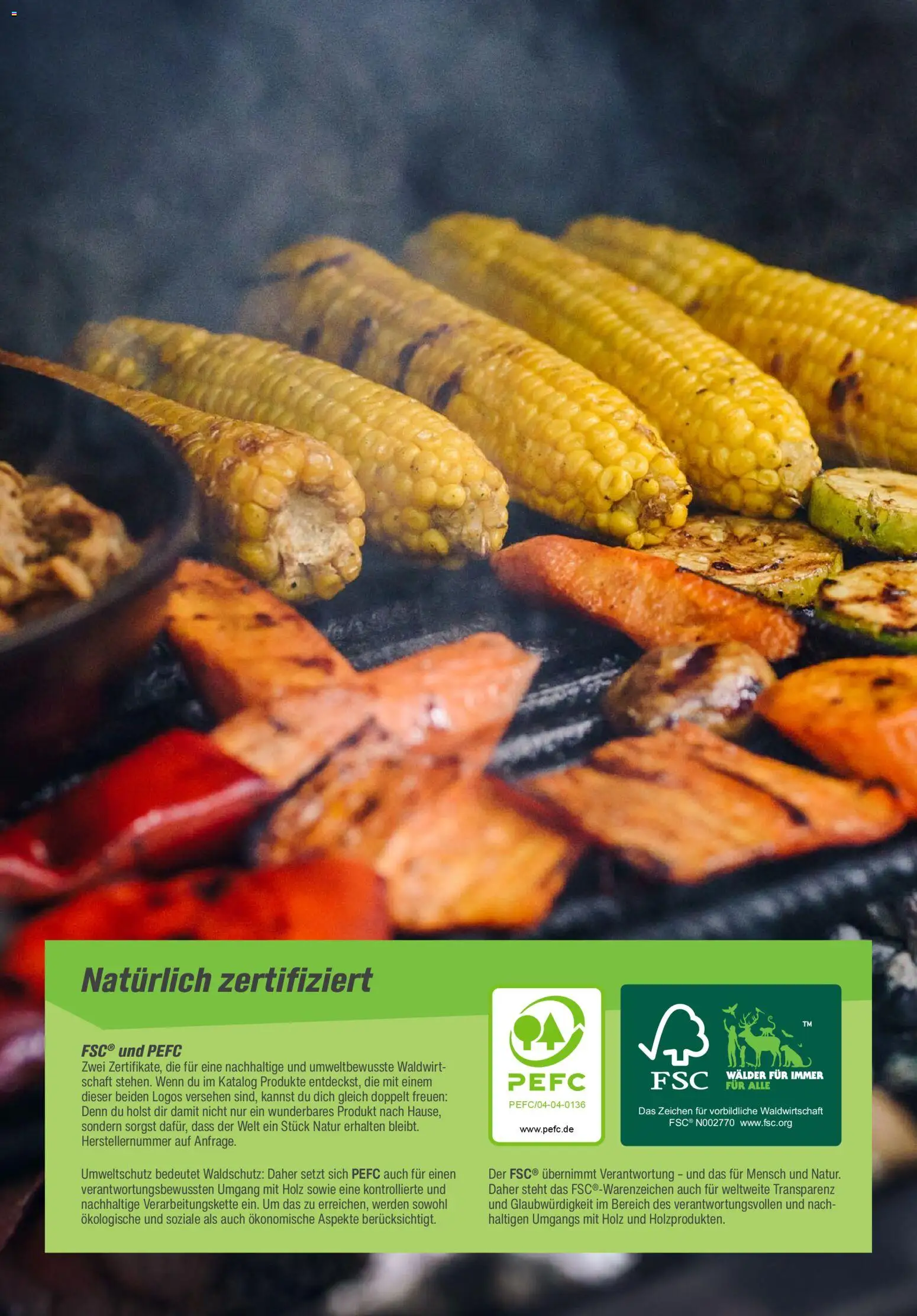 Toom Baumarkt  Grills & Zubehör 2026 - Seite 2 - gültig ab 14.02.2026