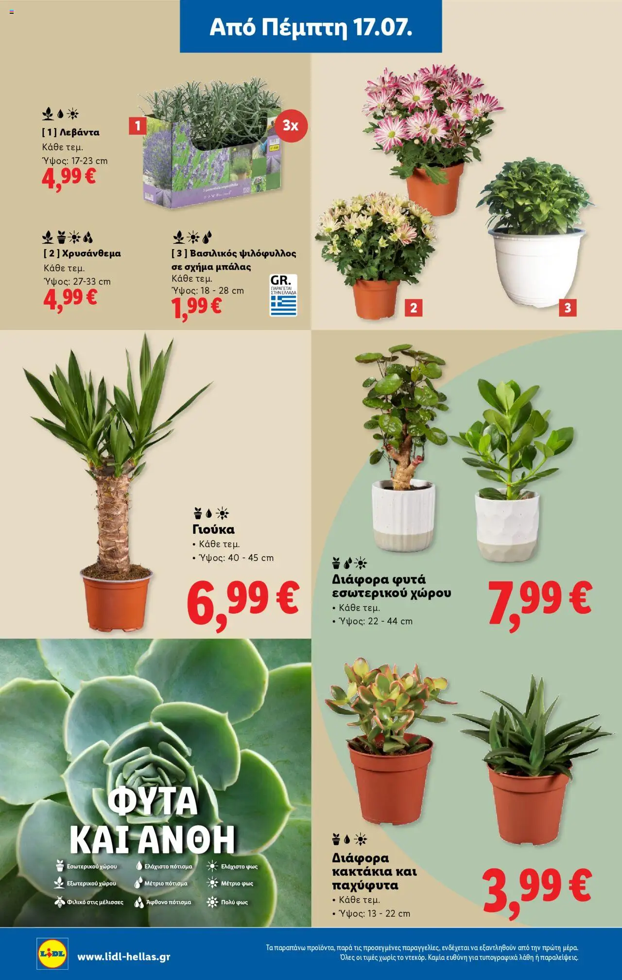 Lidl - Φυλλάδιο - Food & Nonfood - σελίδα 40- ισχύει από 17/07/2025