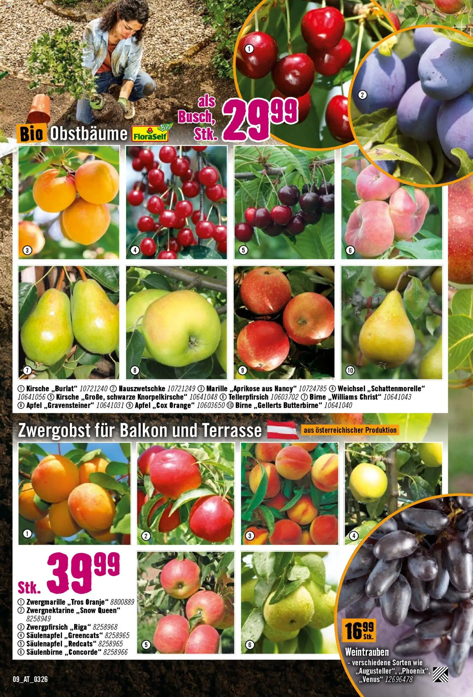 Hornbach Flugblatt - page 9- valid from 17.03.2026