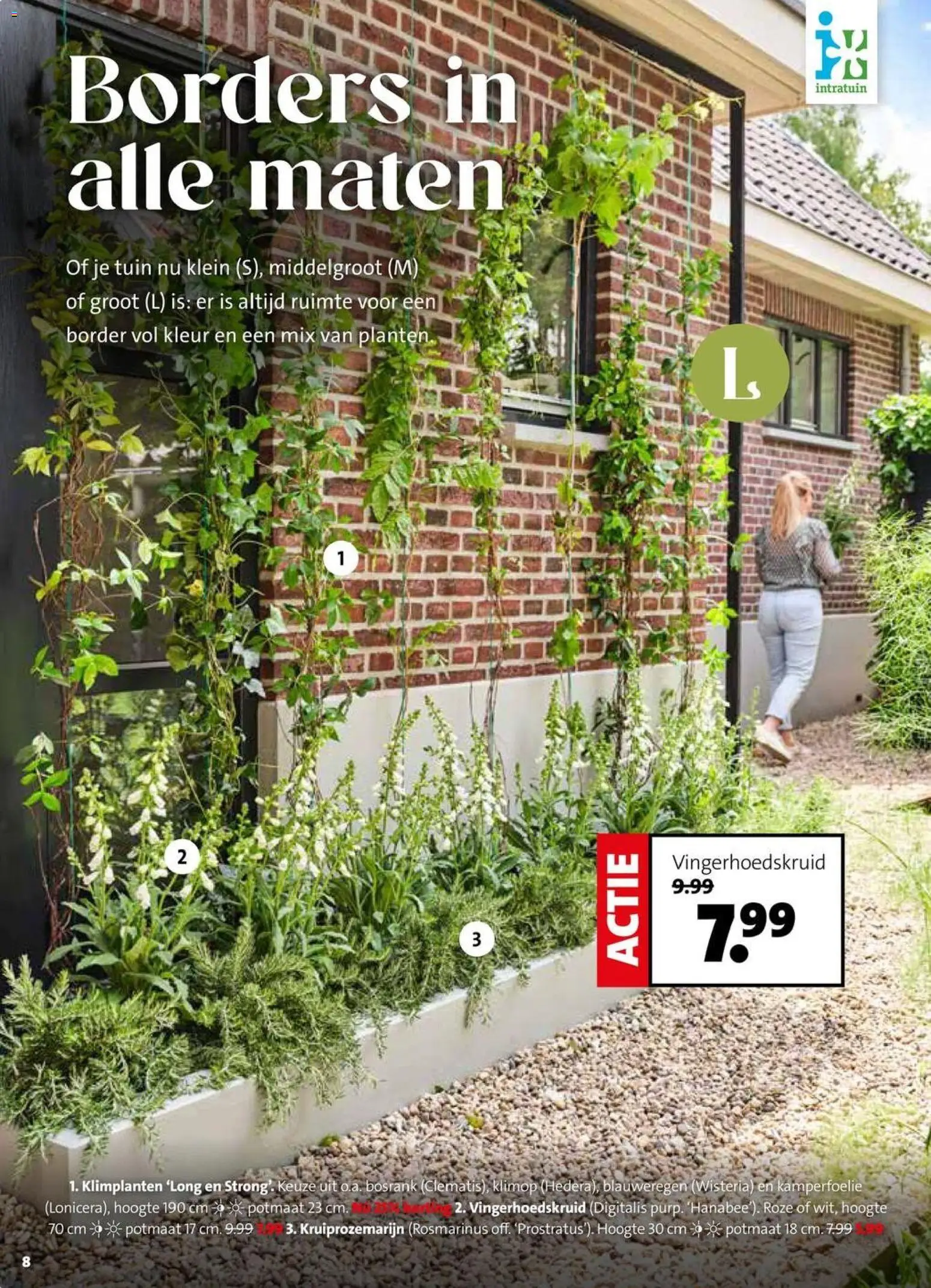 Intratuin folder - page 8- valid from 30-03-2026