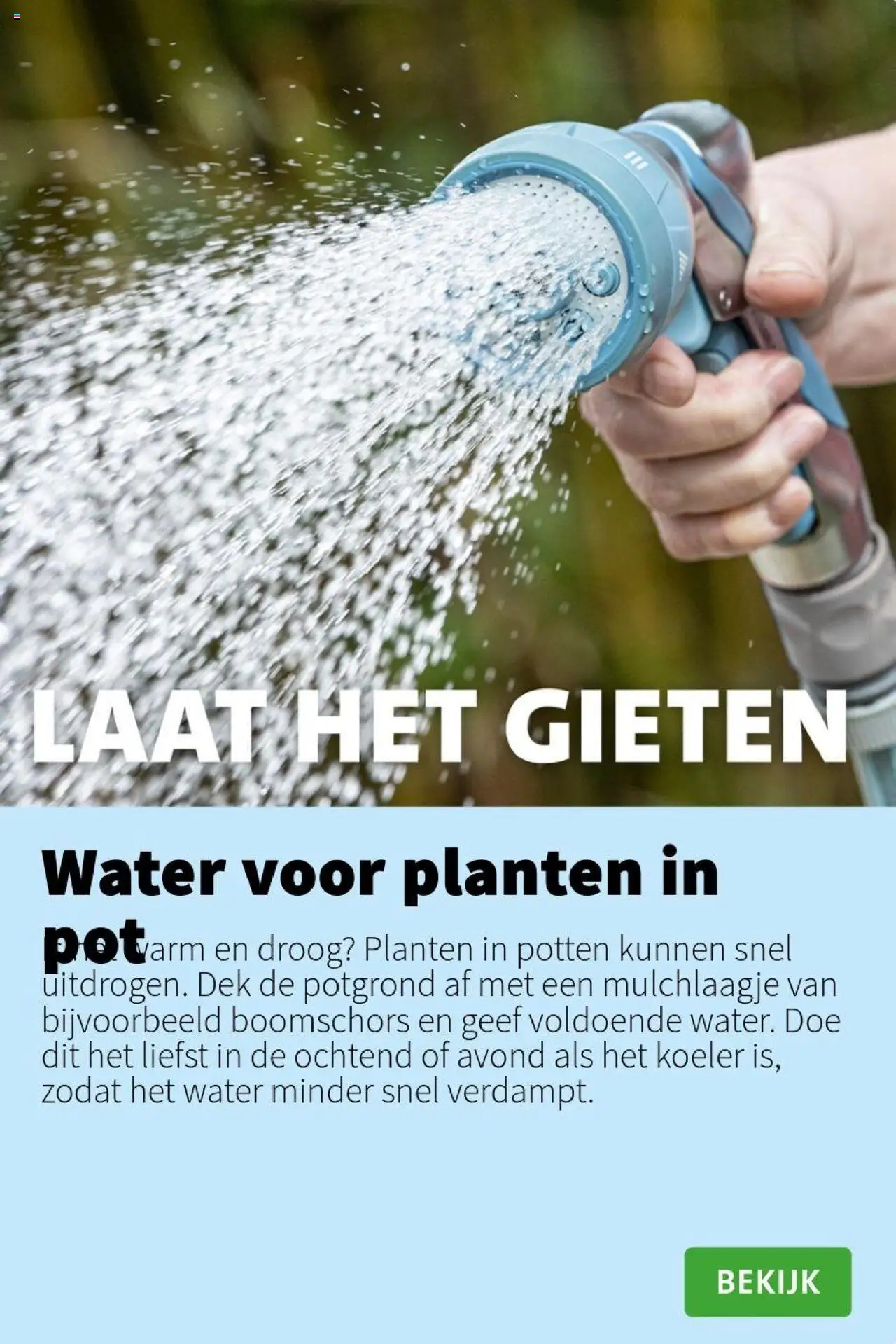 Intratuin - Folder - pagina 7- geldig vanaf 21-07-2025