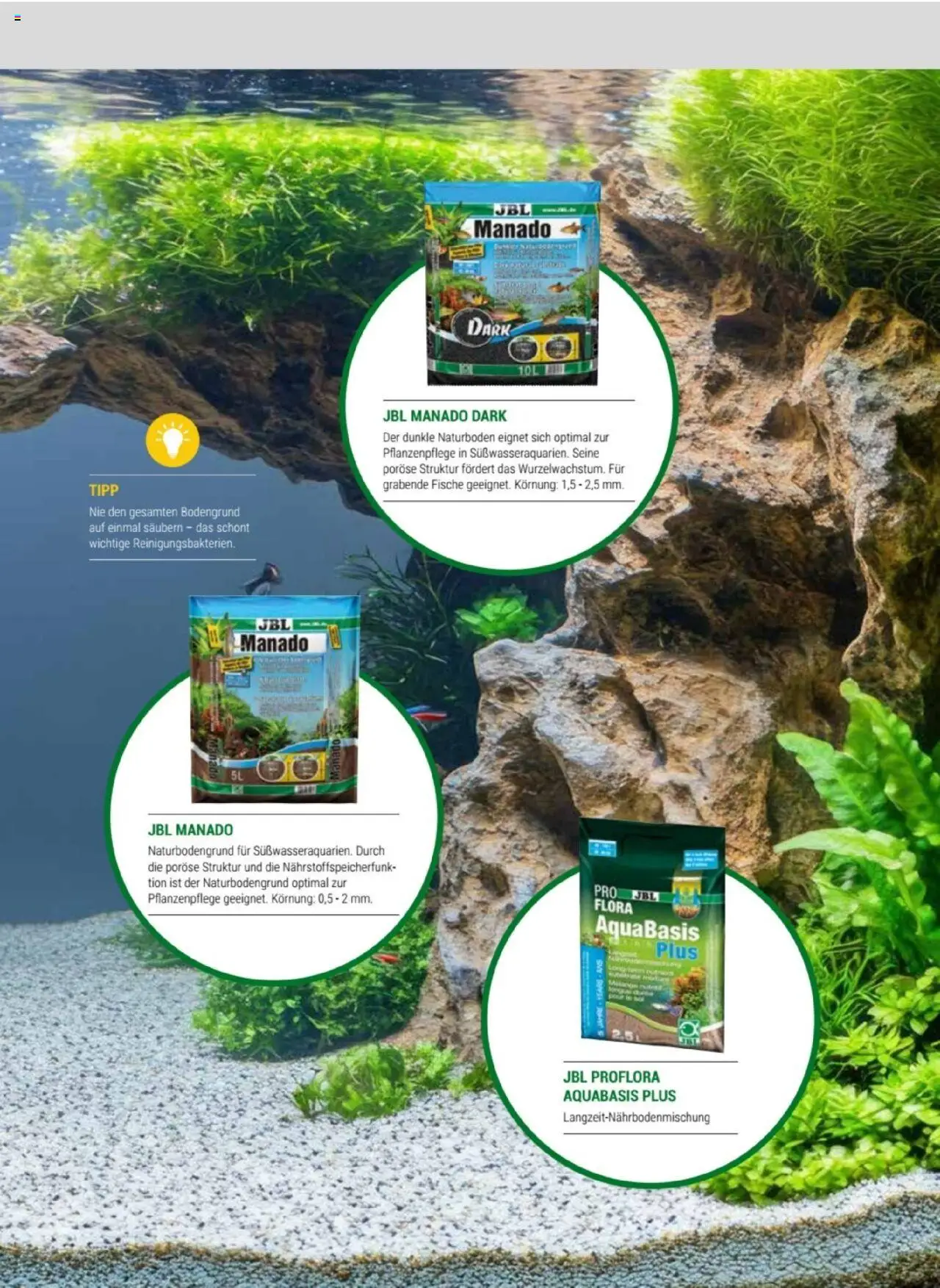 zookauf Themenkatalog Aquaristik - Seite 35 - gültig ab 01.10.2025